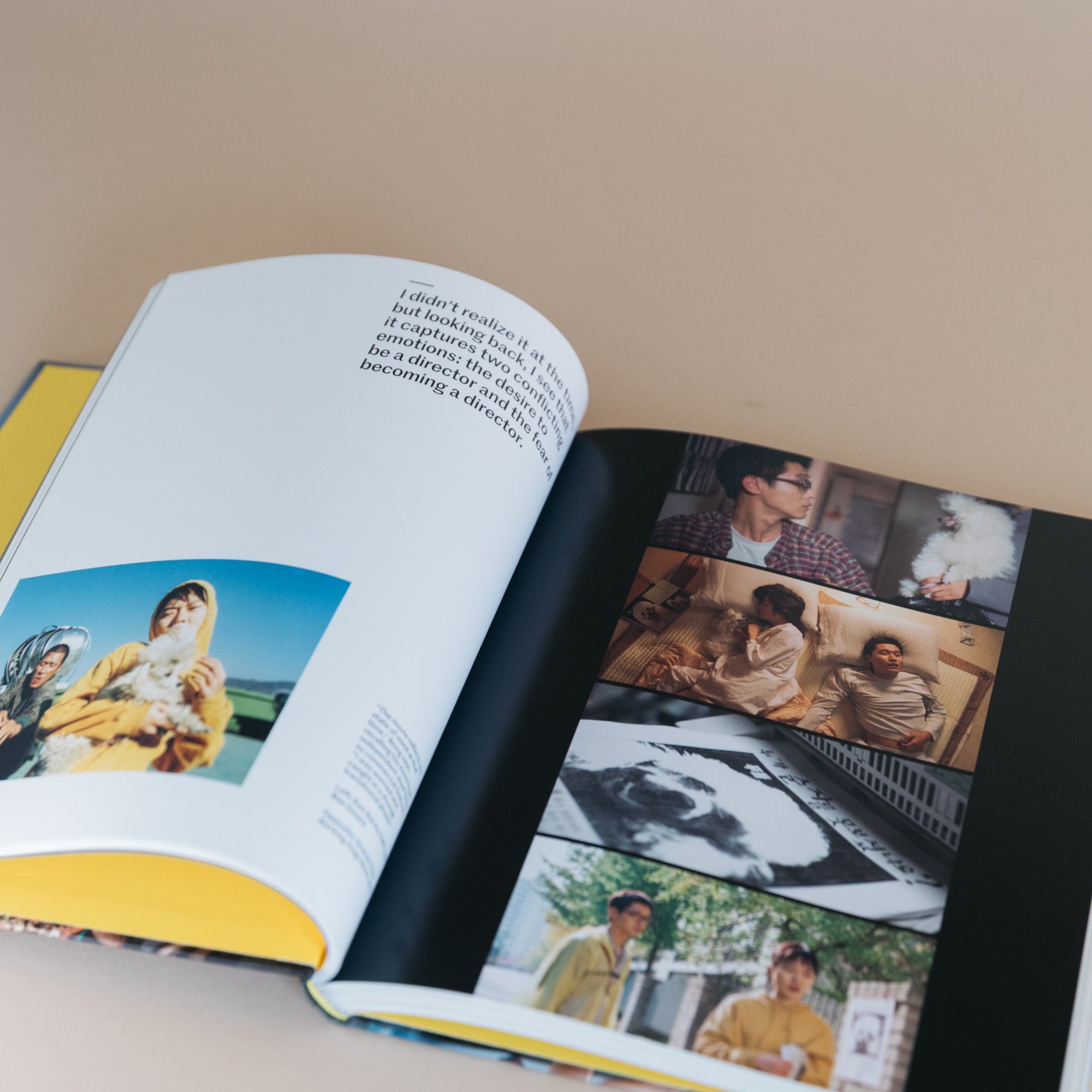 Artbook DAP Art Bong Joon Ho: Director's Inspiration