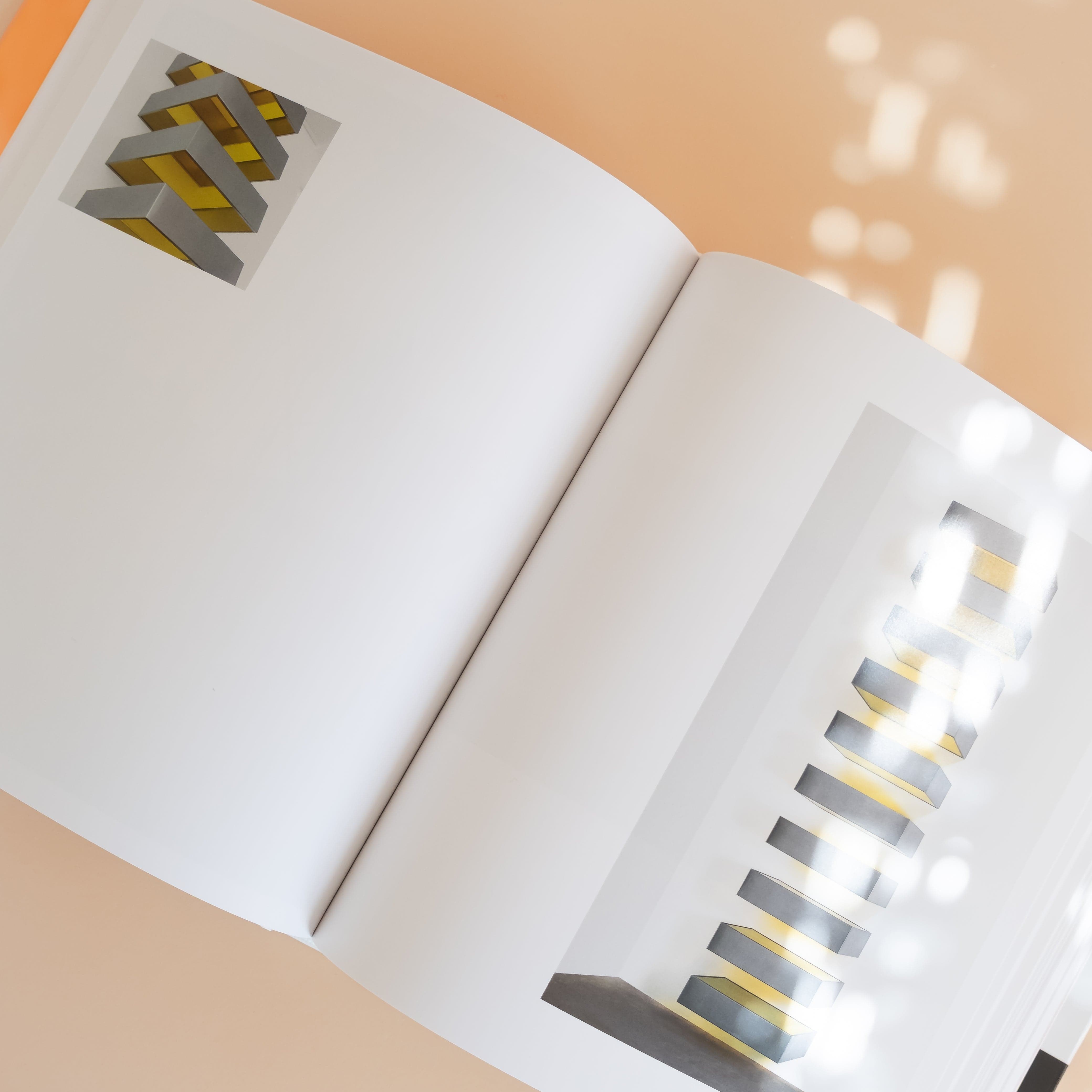 Artbook DAP Art Judd: Donald Judd Retrospective