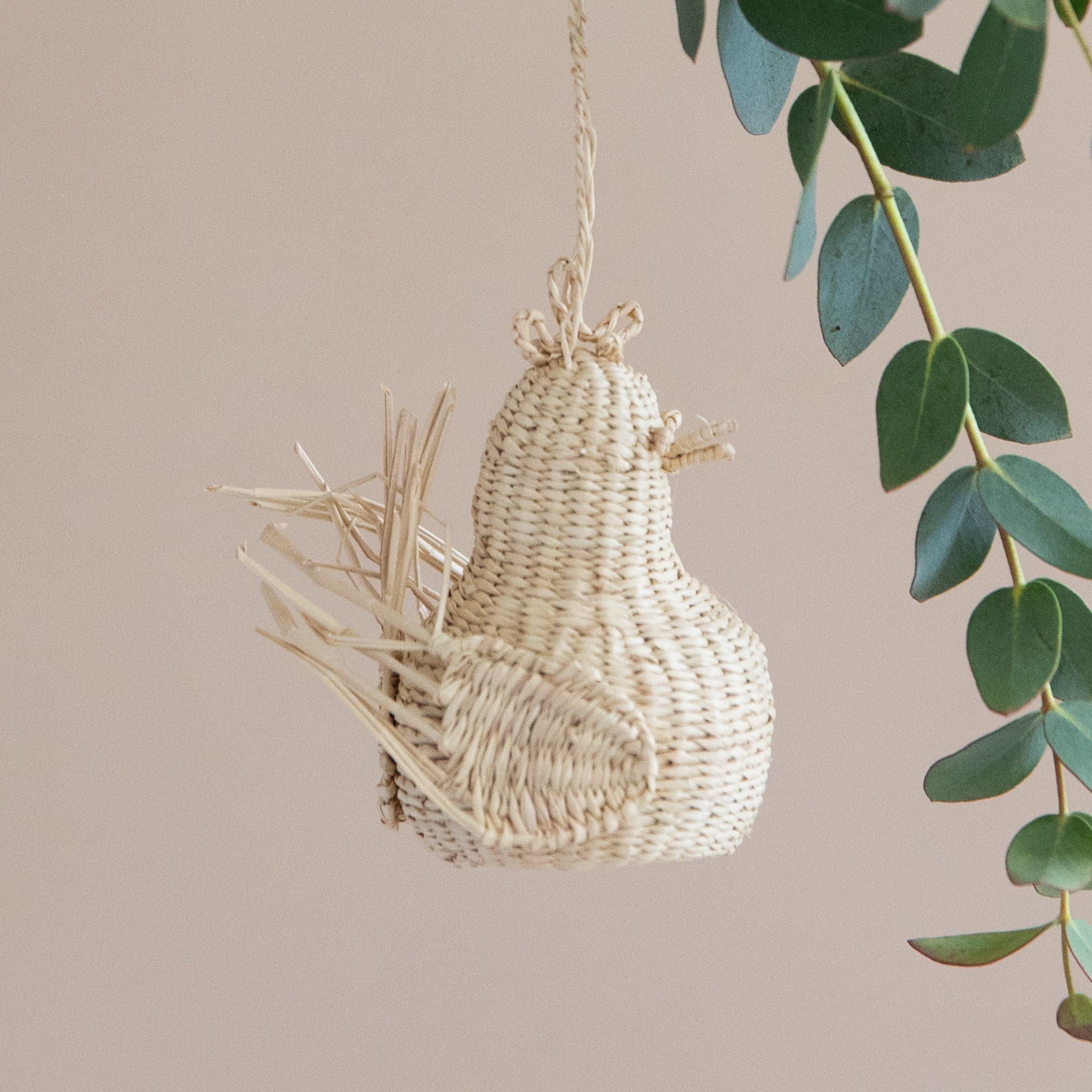 Guanabana Seasonal Iraca Chicken Ornament