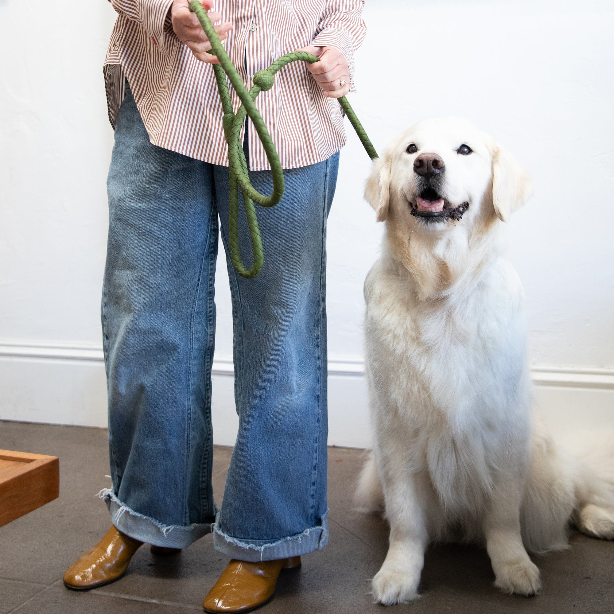 Matthew Ready pet accessories Leather & Brass Dog Leash