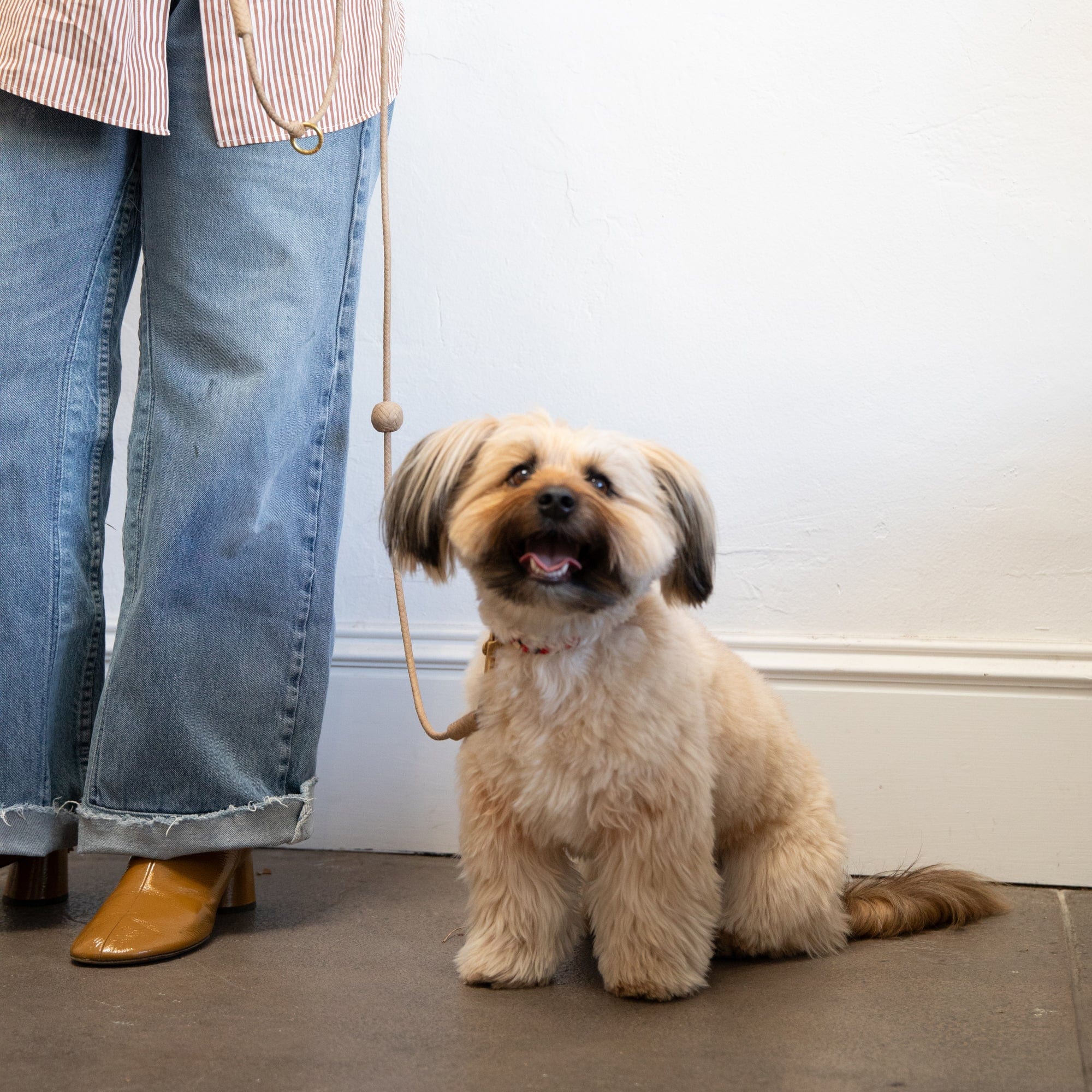 Matthew Ready pet accessories Leather & Brass Dog Leash