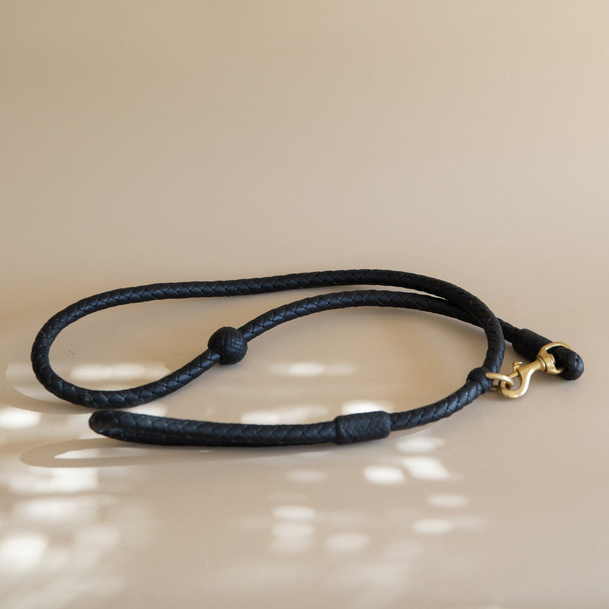 Matthew Ready pet accessories Thick / Black Leather & Brass Dog Leash