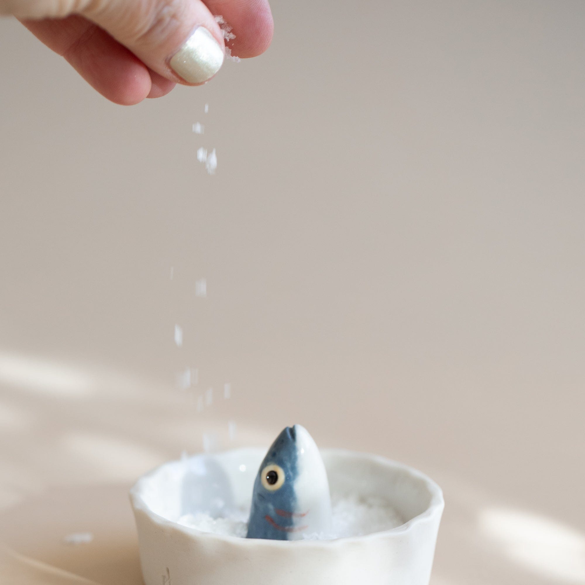 PetitFelts Trays + Catchalls Fish Dish