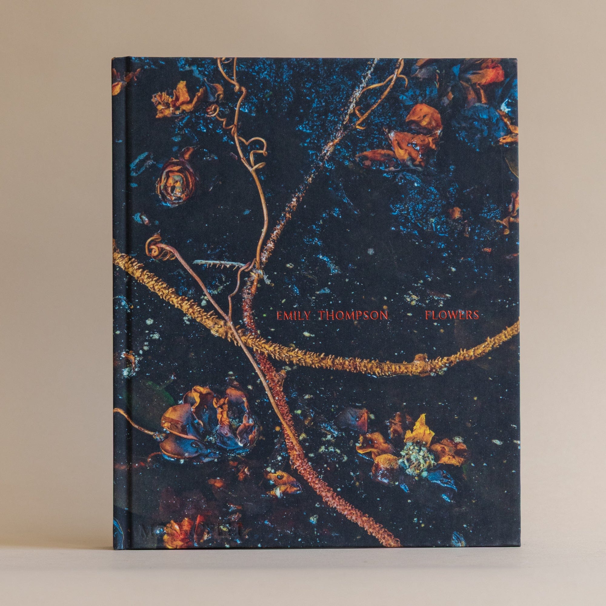 phaidon Art Emily Thompson Flowers