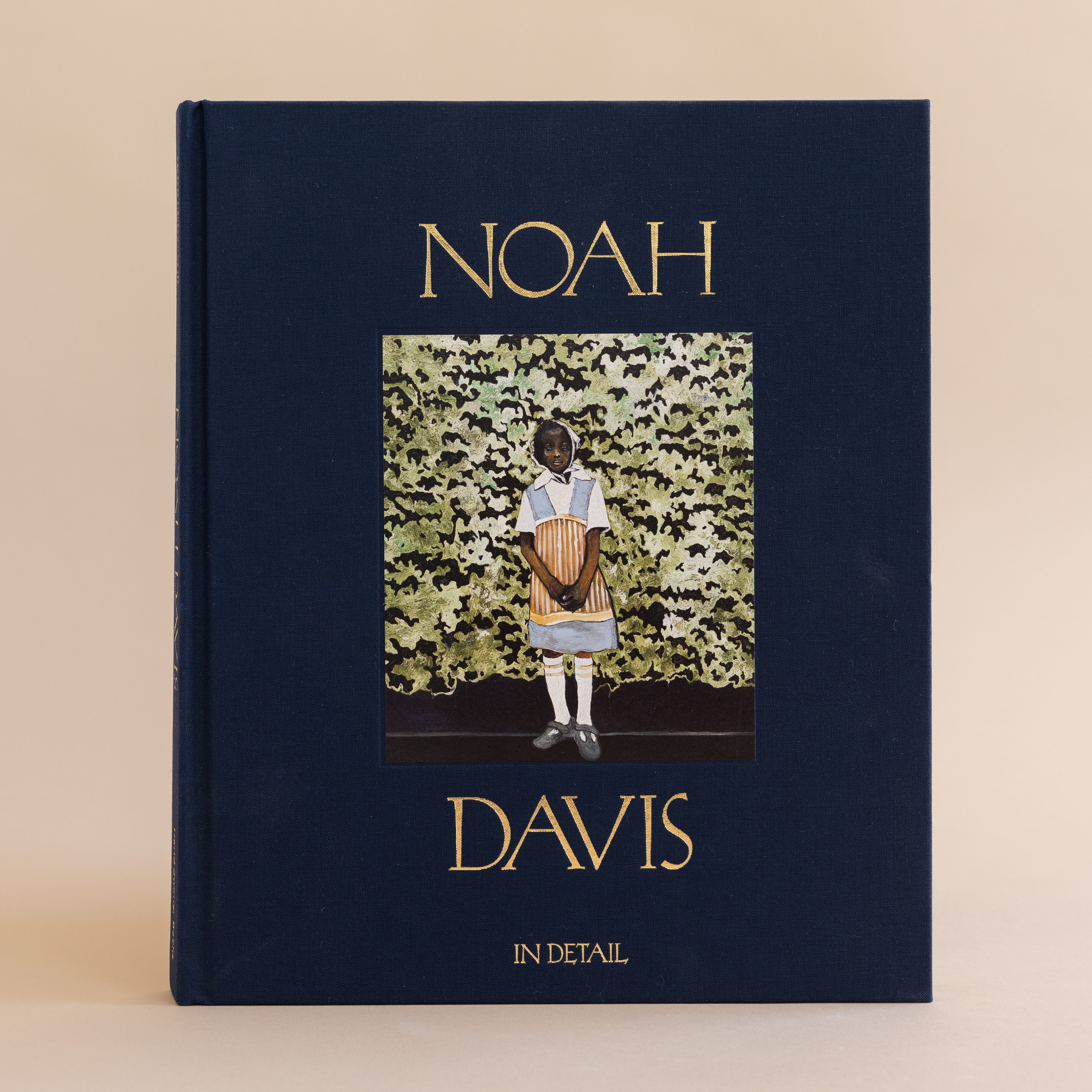Simon & Schuster Art Noah Davis: In Detail