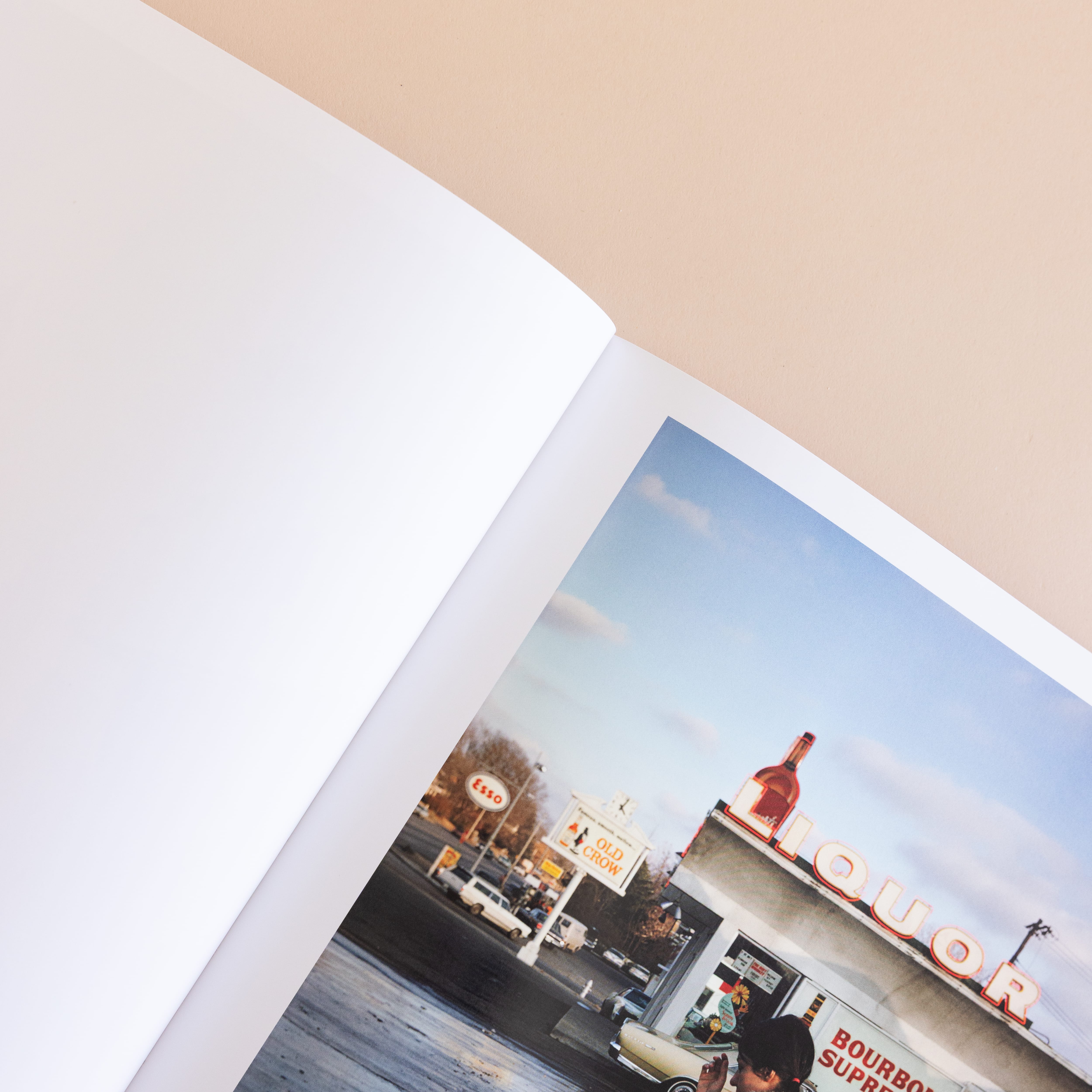 Simon & Schuster Art William Eggleston: The Outlands