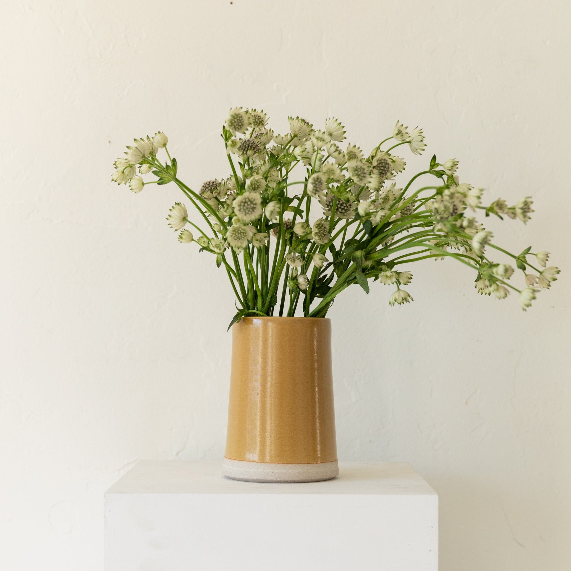 WRF Lab Everyday Mustard / Small WRF Vase