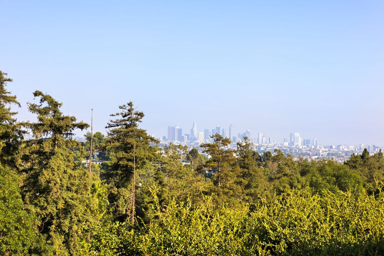 2244-e-live-oak-dr-engel studios-low res-52.jpg