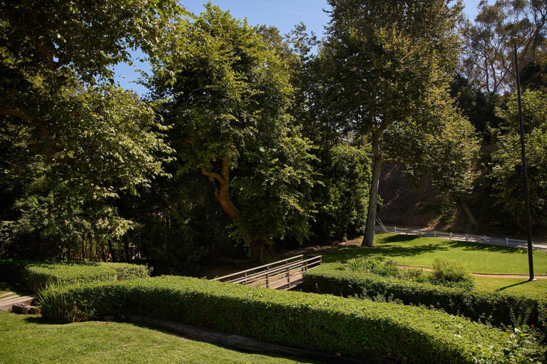 603-hightree-neustadt-low res-6.jpg