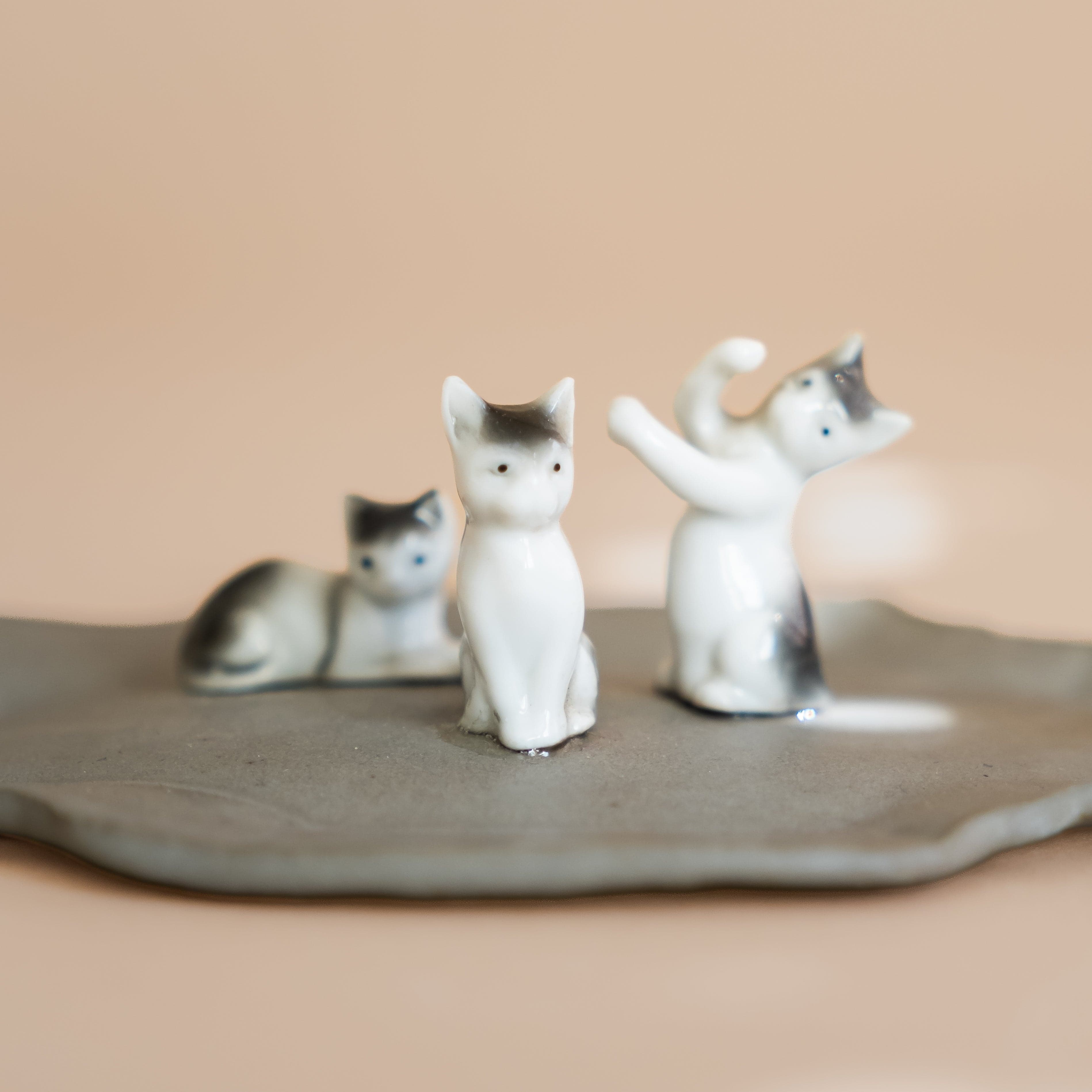 Abra Edelman Trays + Catchalls 009 Figurine Dishes by Abra Edelman