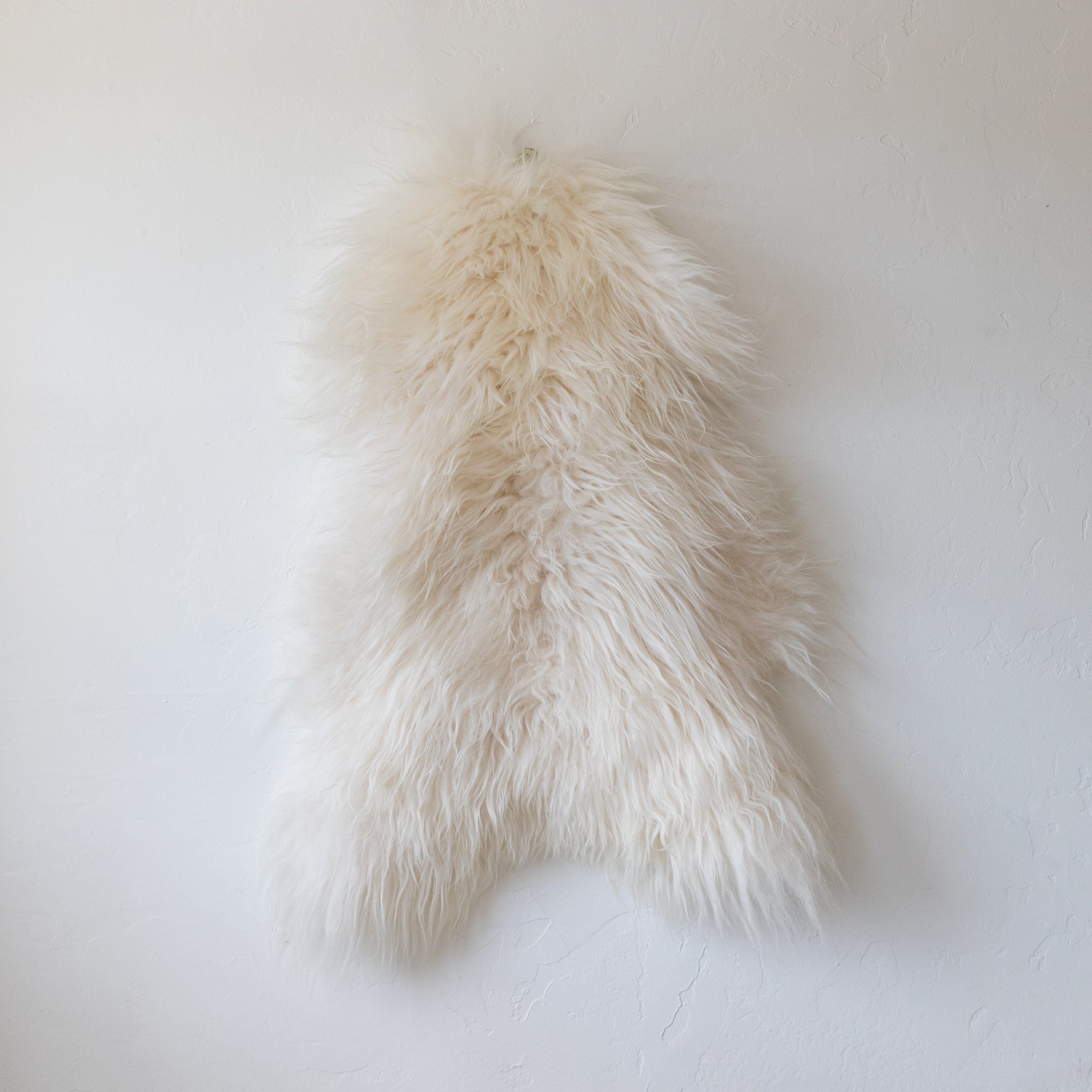 BIDK Home Sheepskins Large Sheepskin in Short Hair