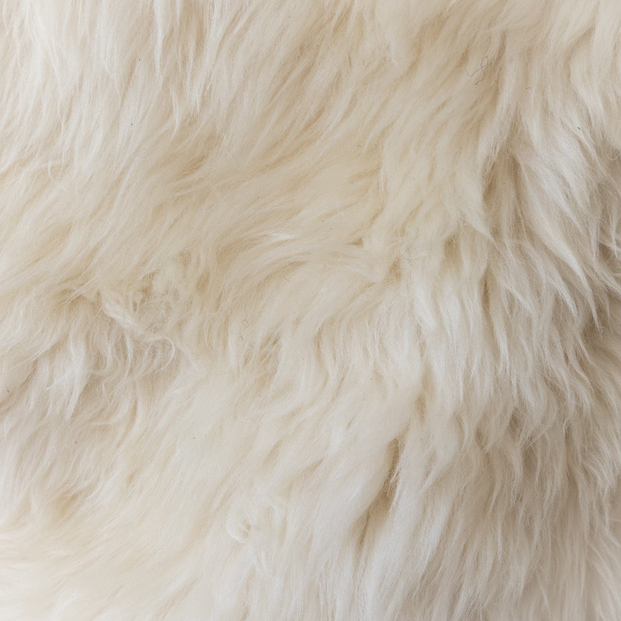 BIDK Home Sheepskins Sheepskin in Longhair