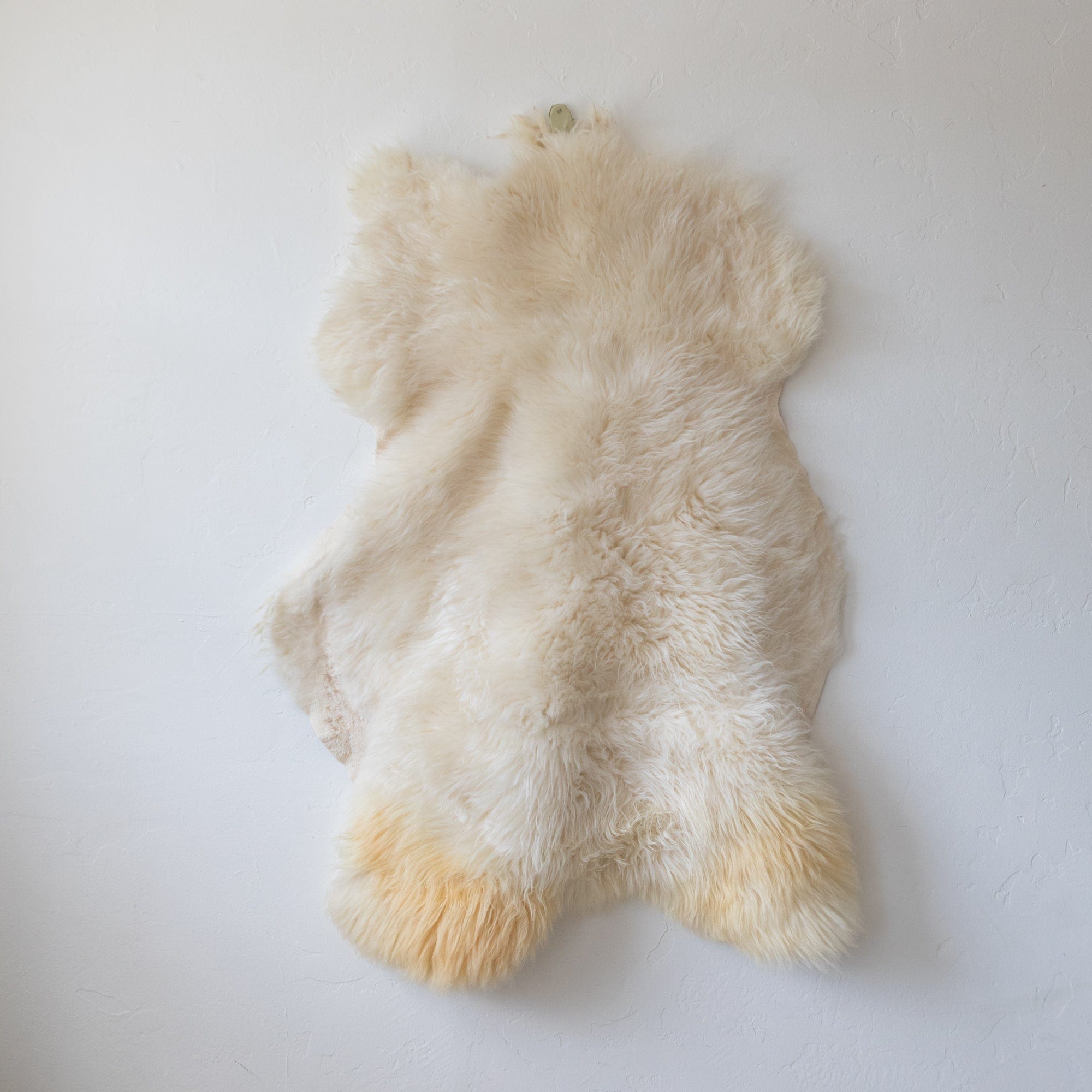 BIDK Home Sheepskins Sheepskin in Short Hair