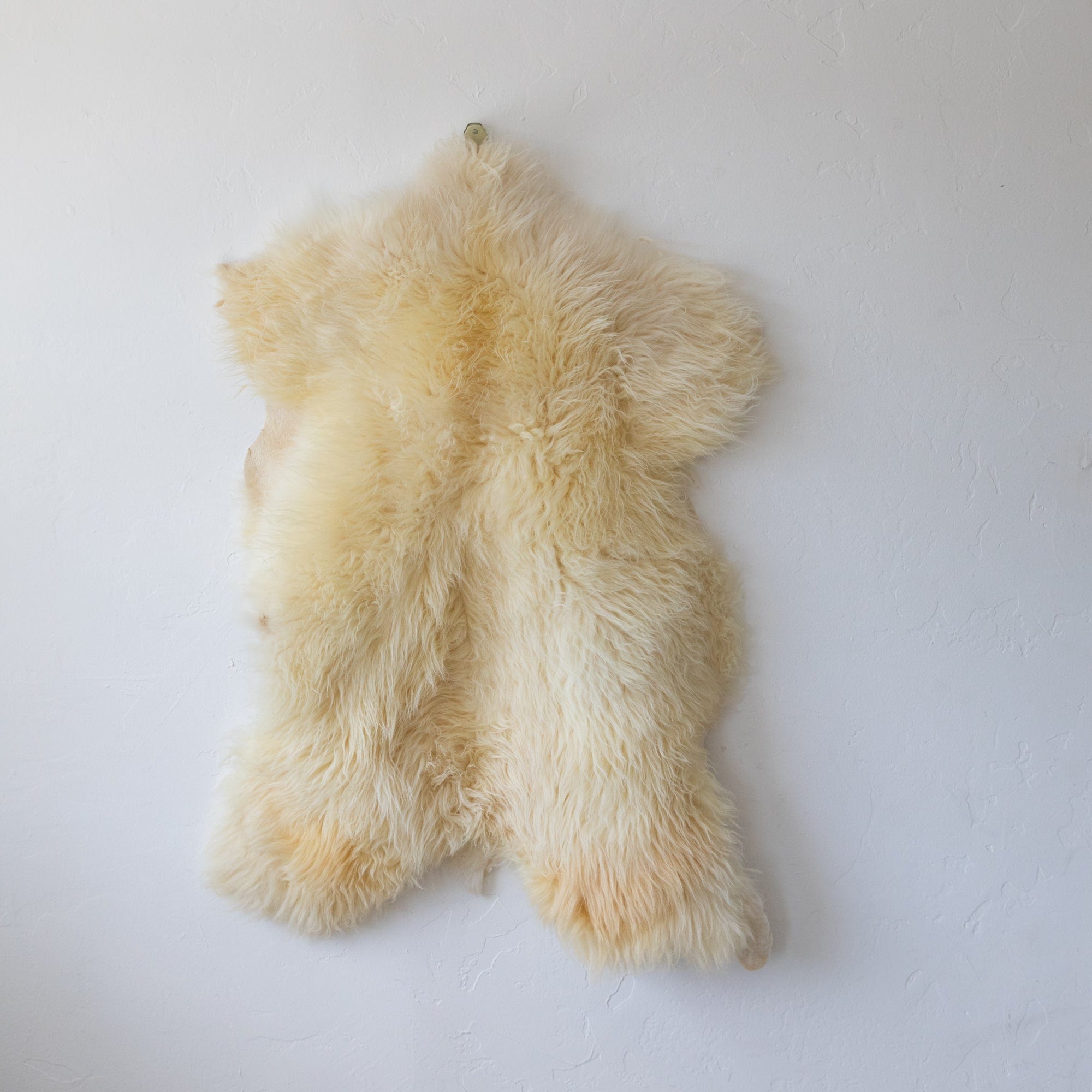 BIDK Home Sheepskins Sheepskin in Short Hair