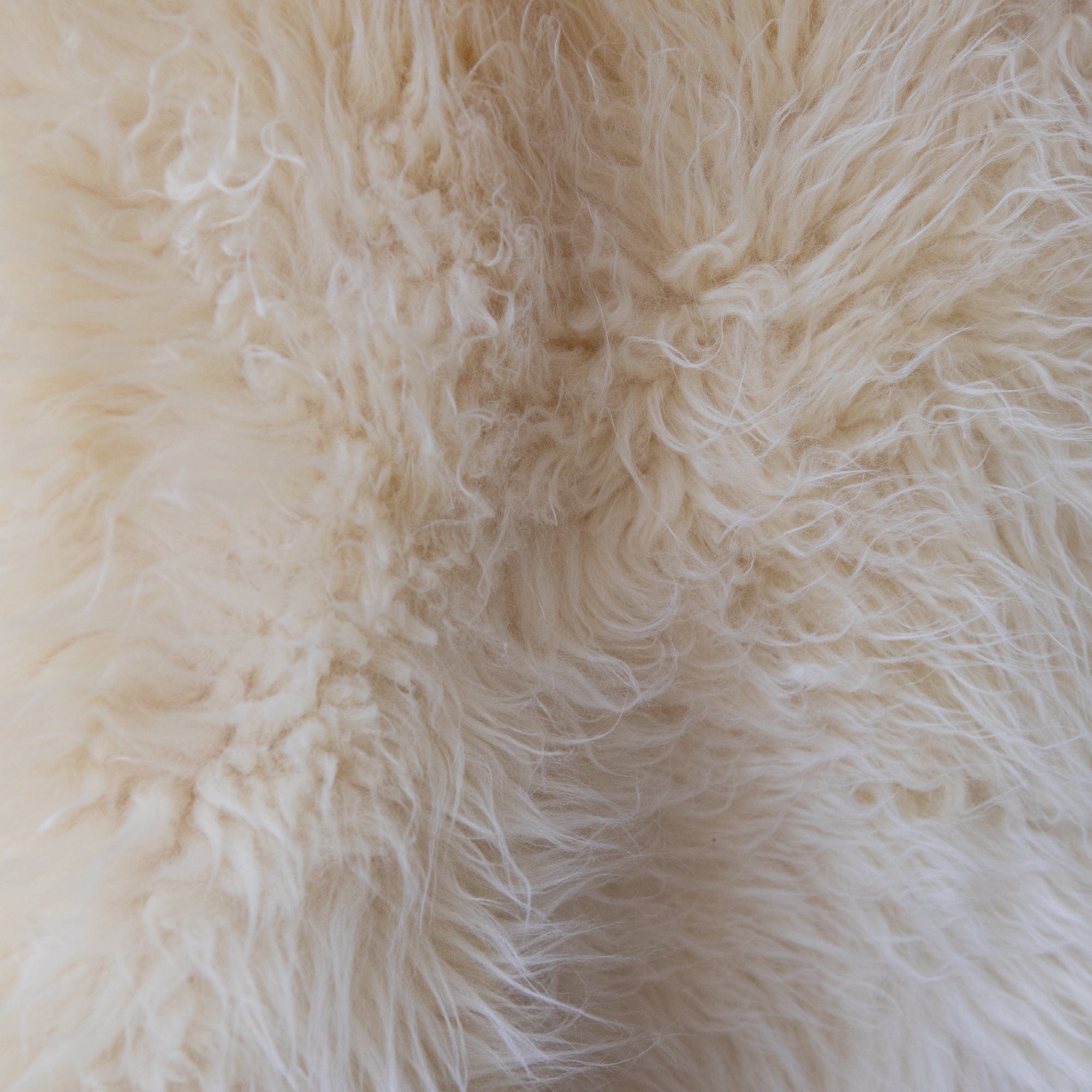 BIDK Home Sheepskins Sheepskin in Short Hair