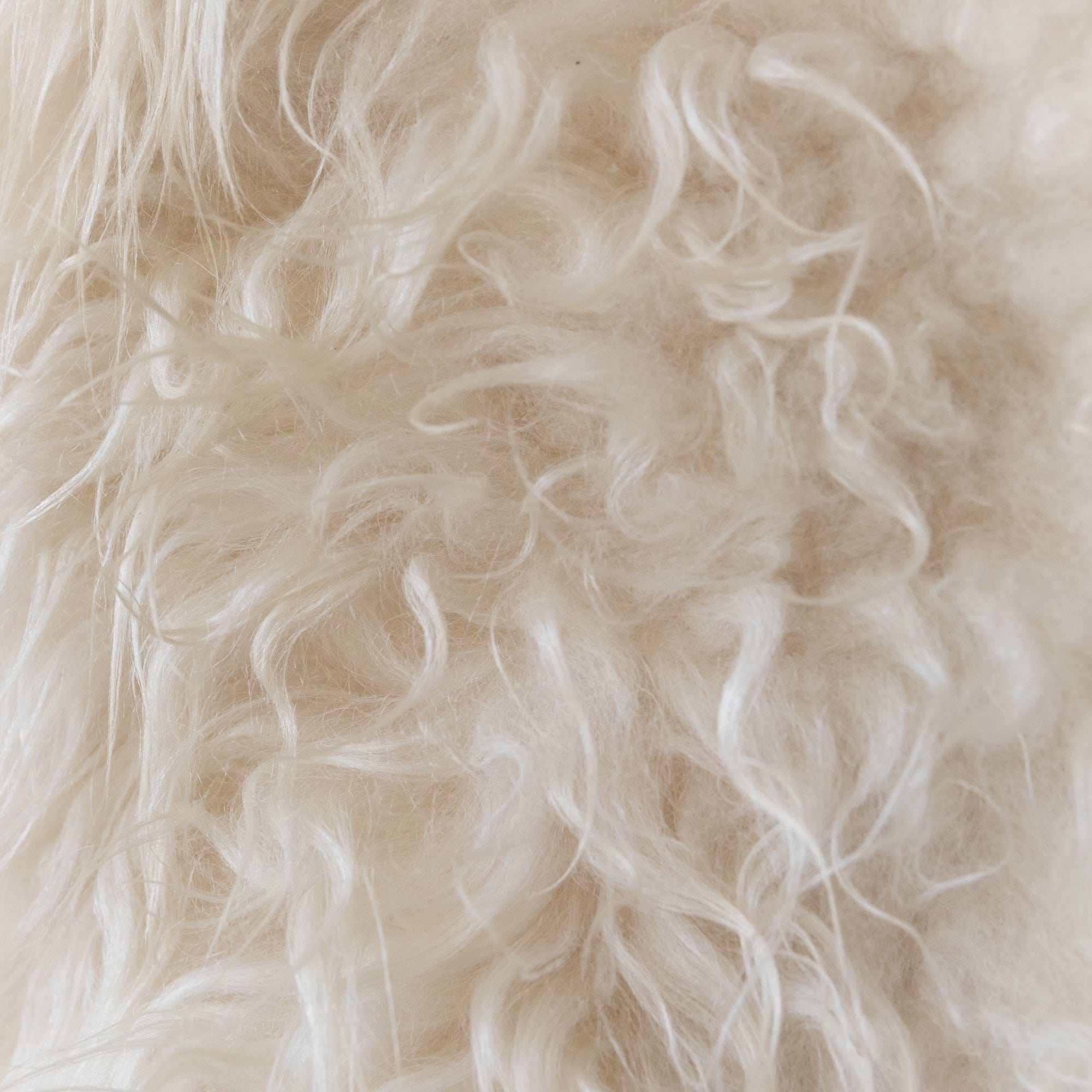 BIDK Home Sheepskins Sheepskin in Short Hair