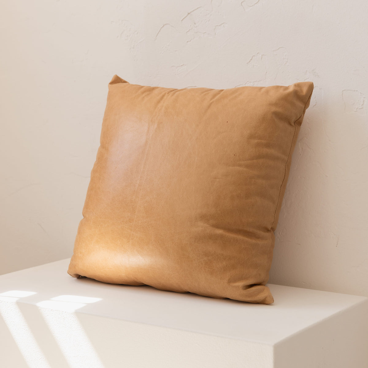 +COOP Pillows 18" x 18" Leather Pillows
