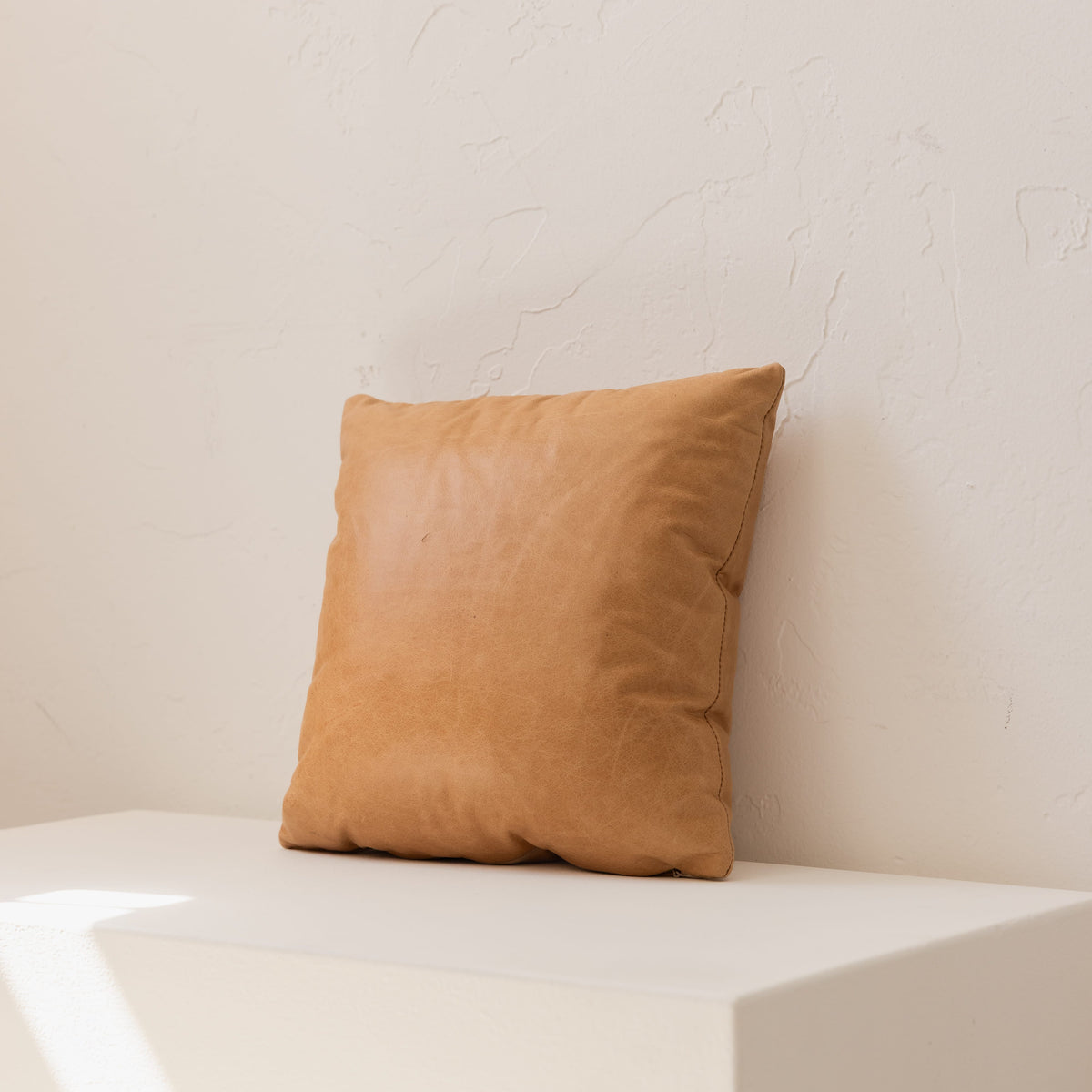+COOP Pillows Leather Pillows