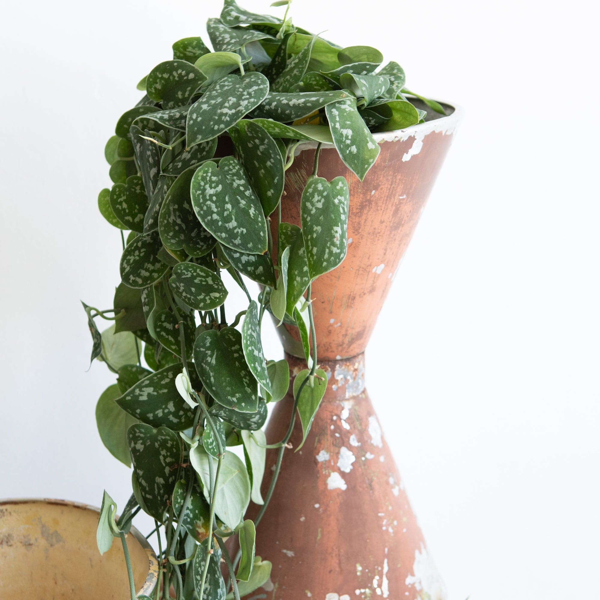 +COOP Pots + Planters Pair of Vintage Aluminum Planters