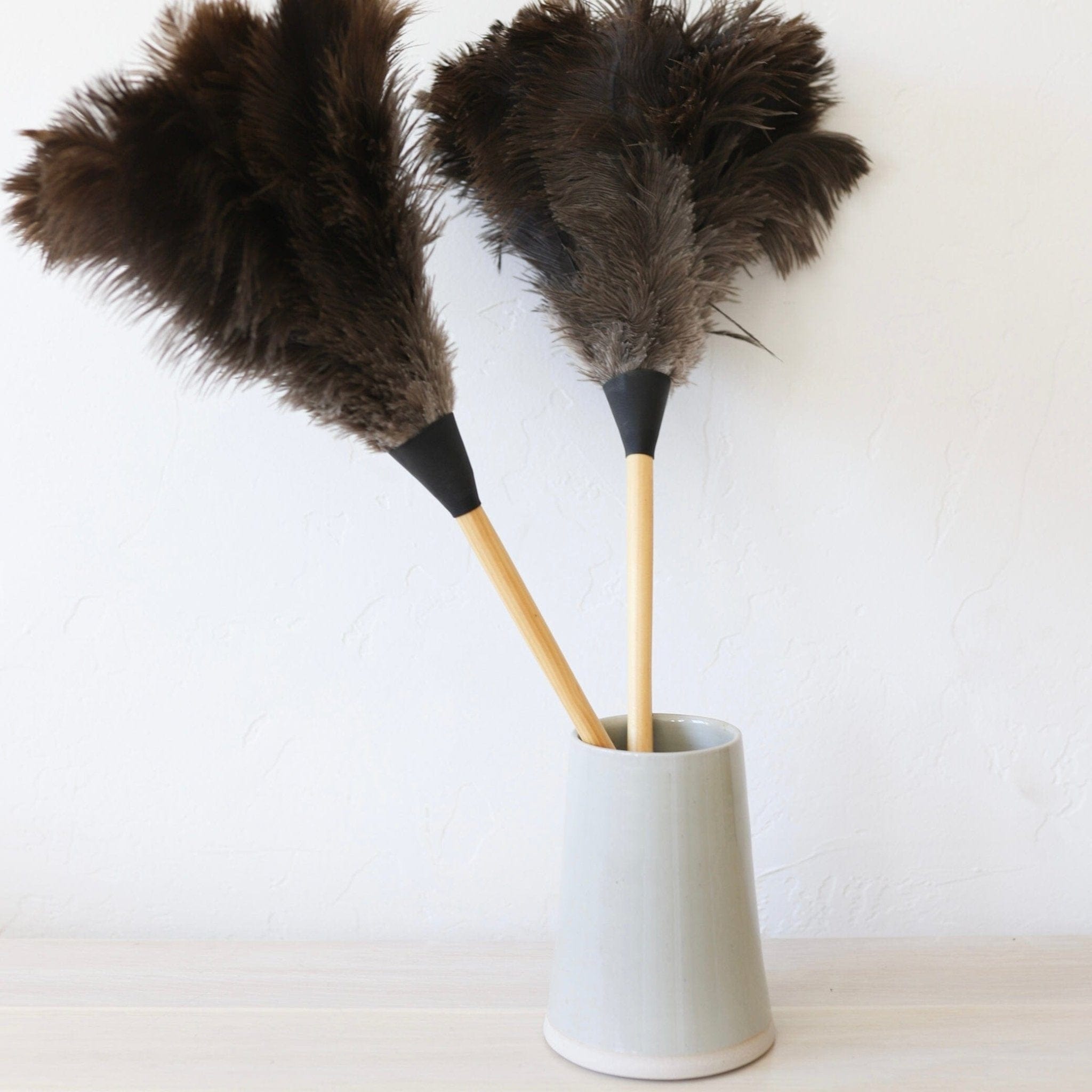 Earth & Nest Home Care Black Feather Duster