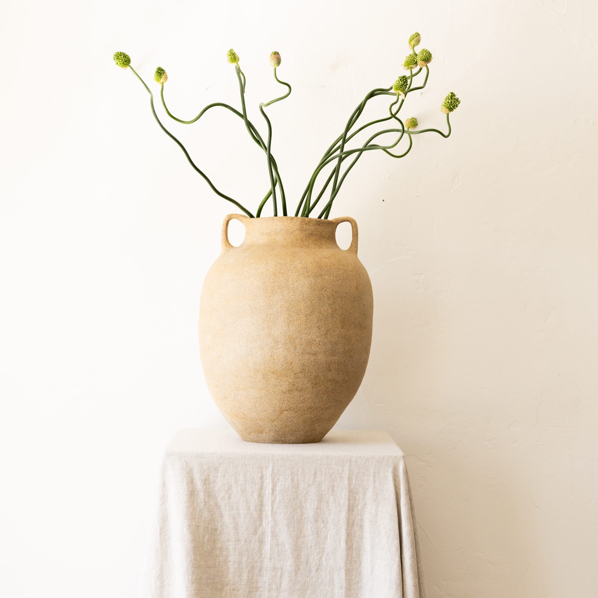 Amphora Vase