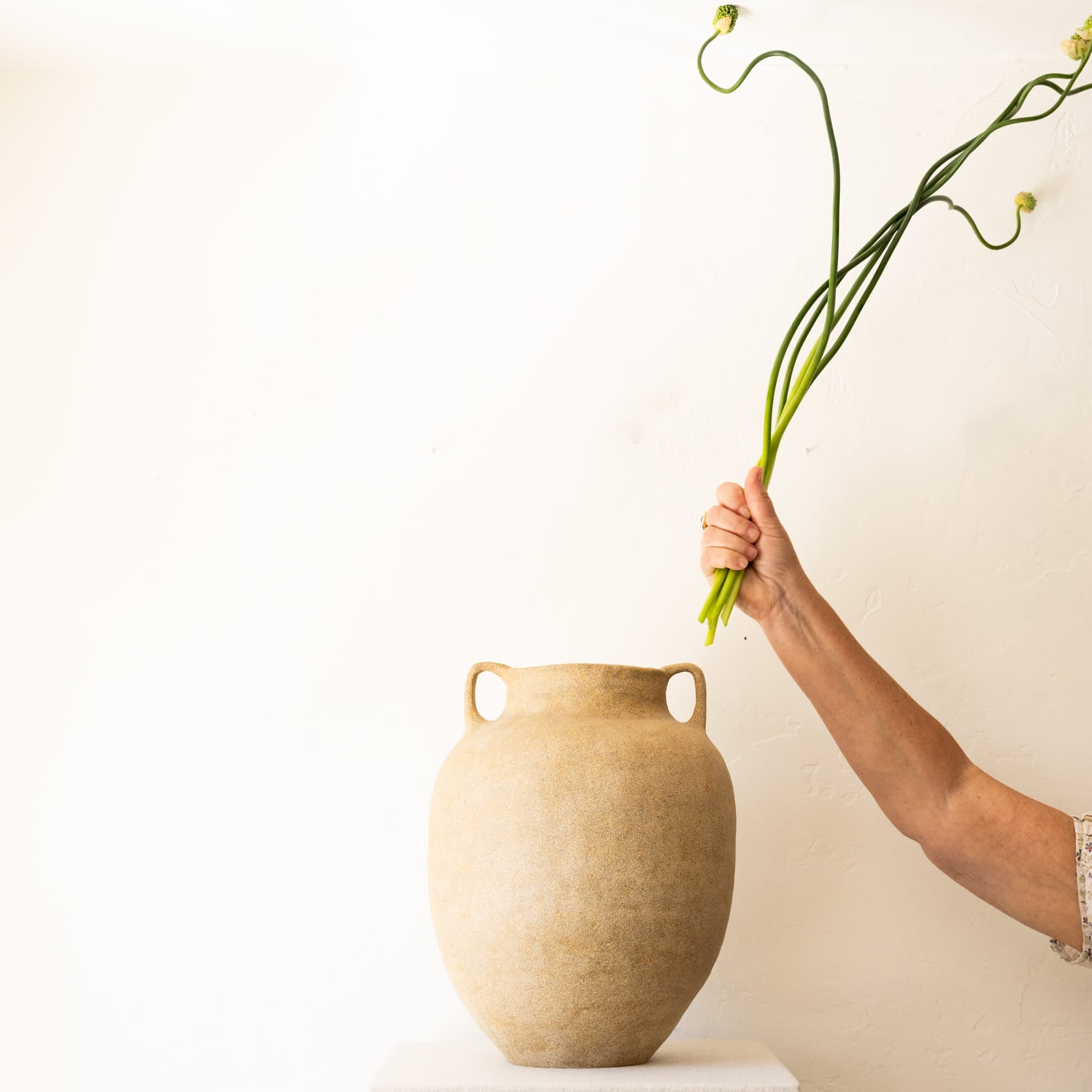 Amphora Vase
