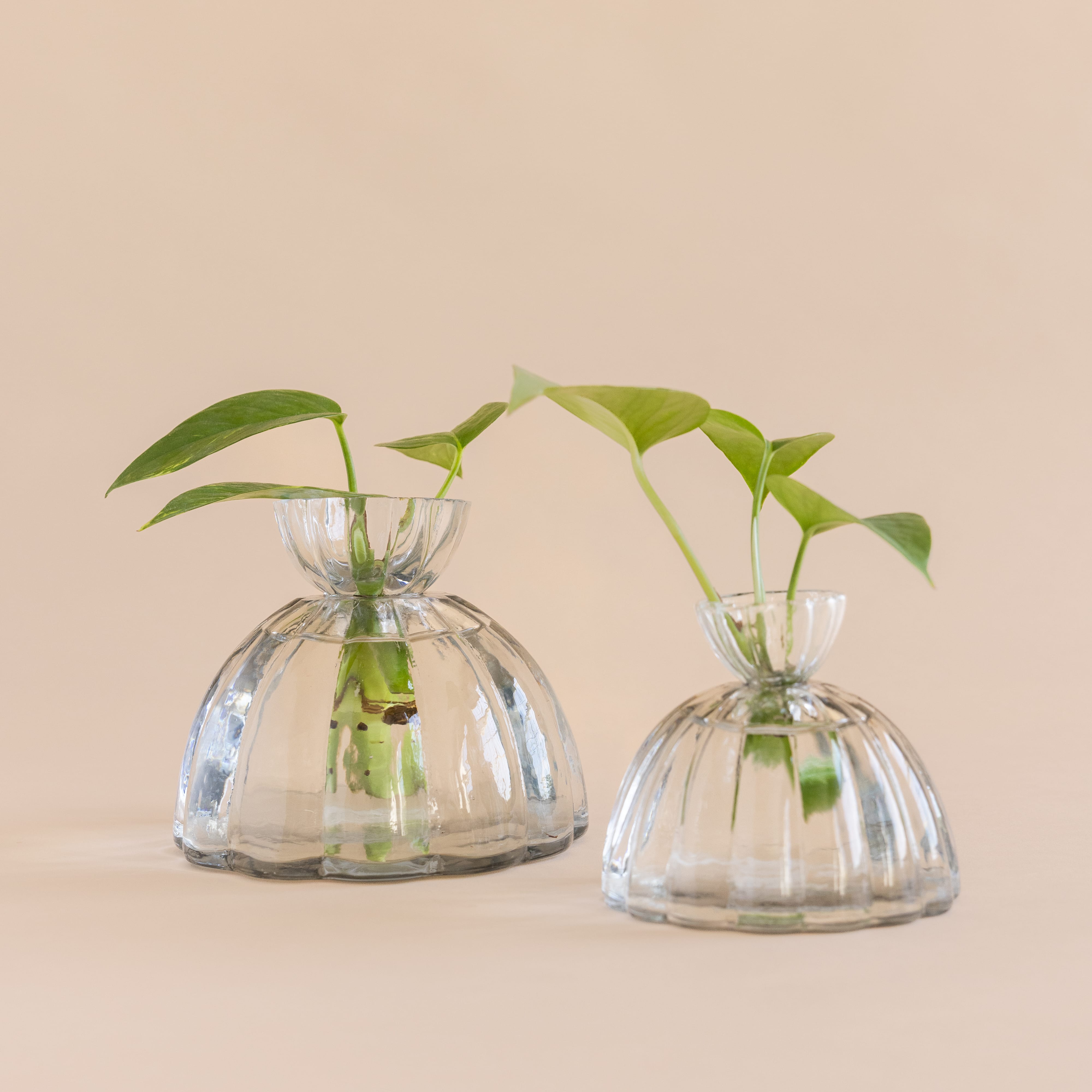 Floral Society Garden Tools + Objects Propagation Vase