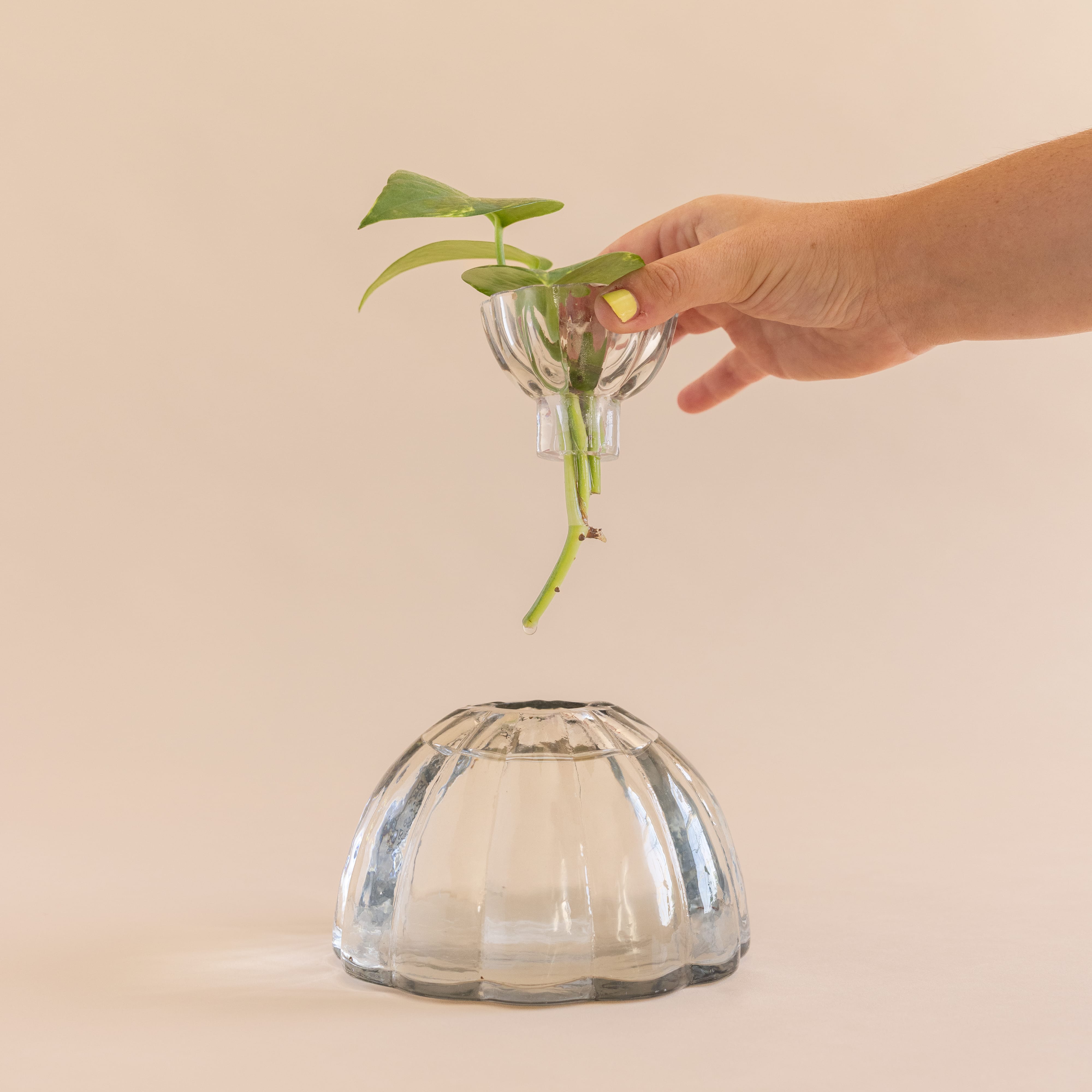 Floral Society Garden Tools + Objects Propagation Vase