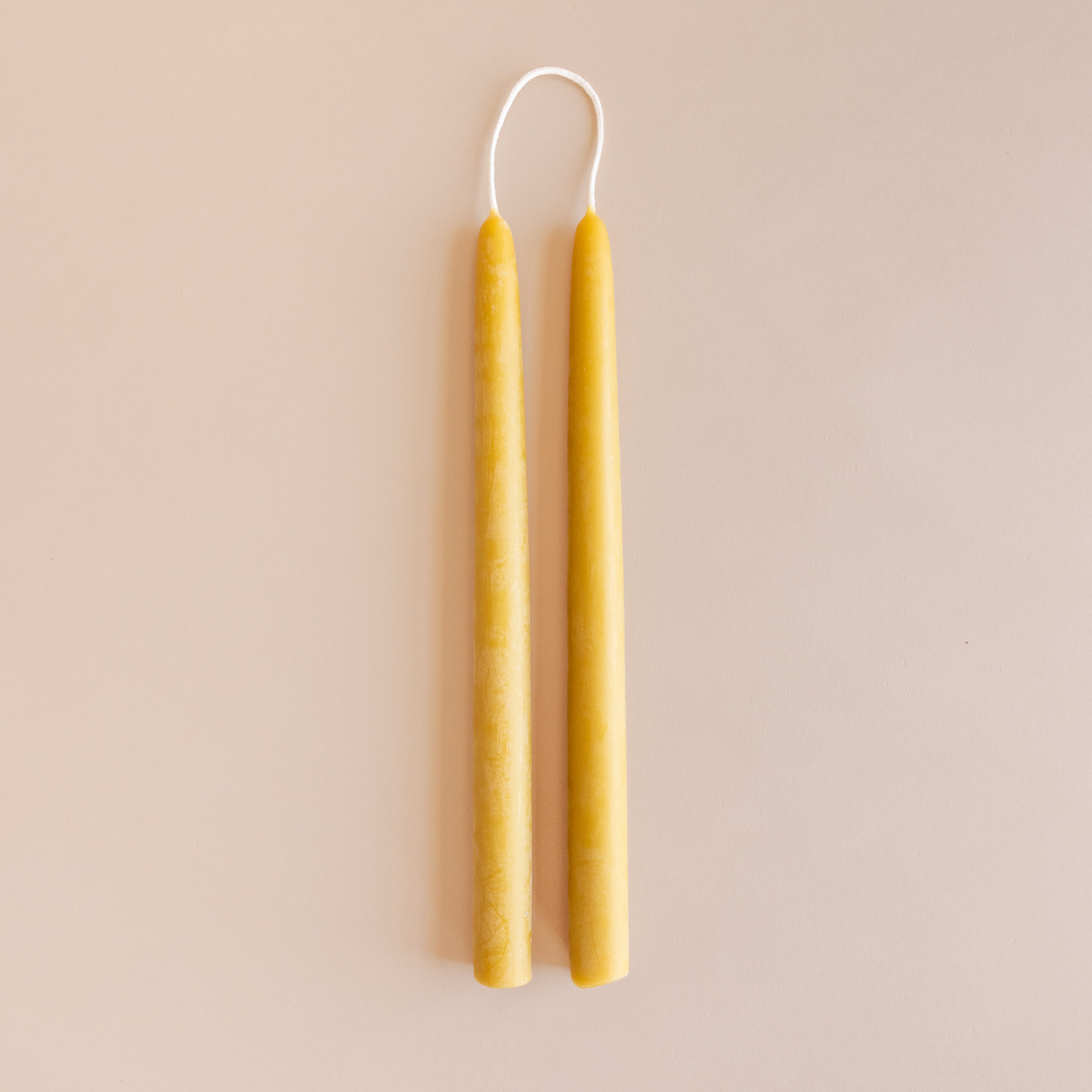Floral Society Tapers Beeswax Taper Candles by Floral Society