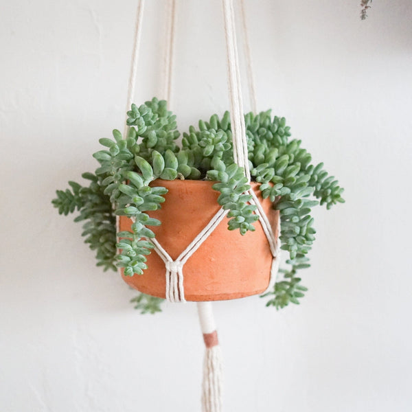 Terracotta Pots