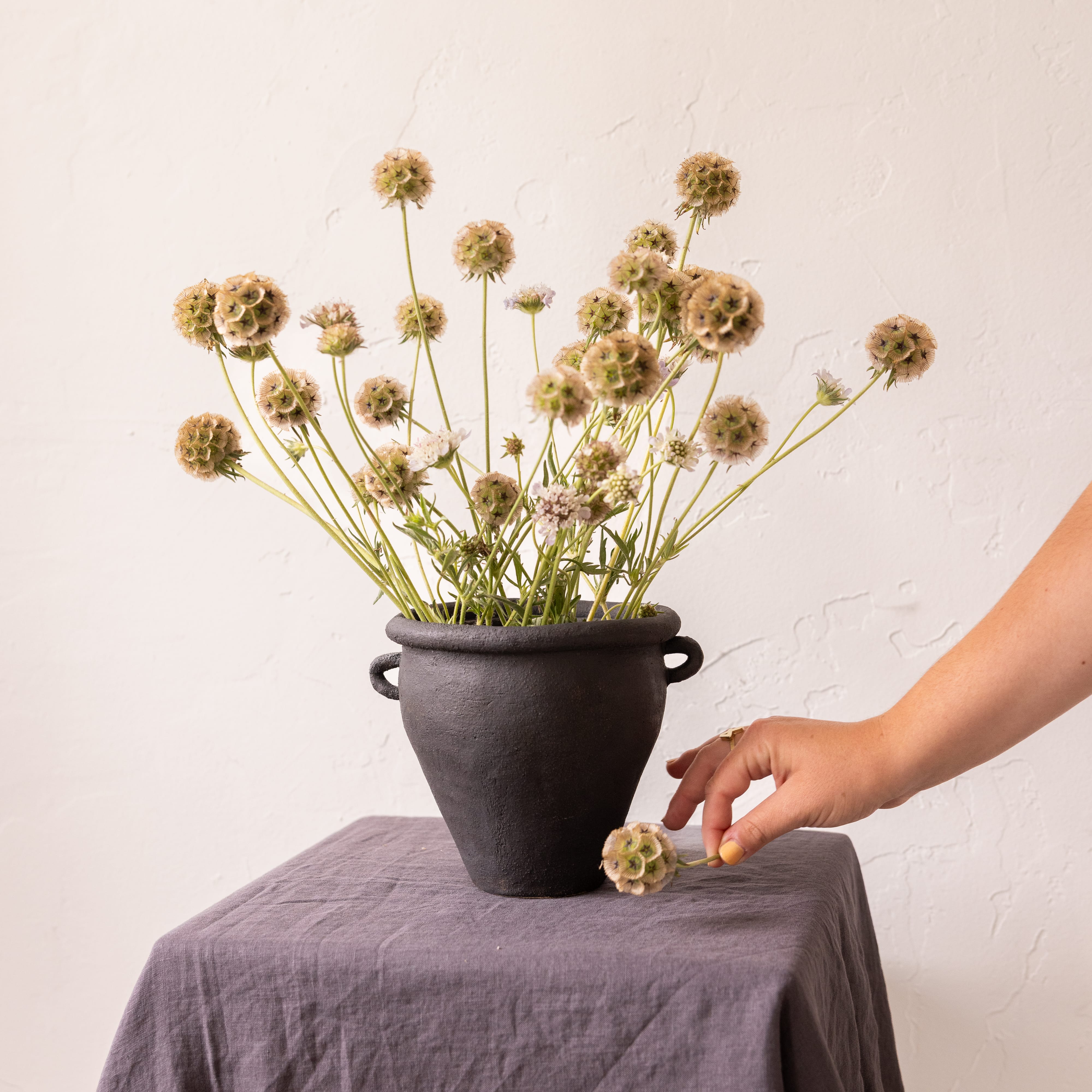 Heyja Do Statement Piece Loop Handle Vessel by Heyja Do