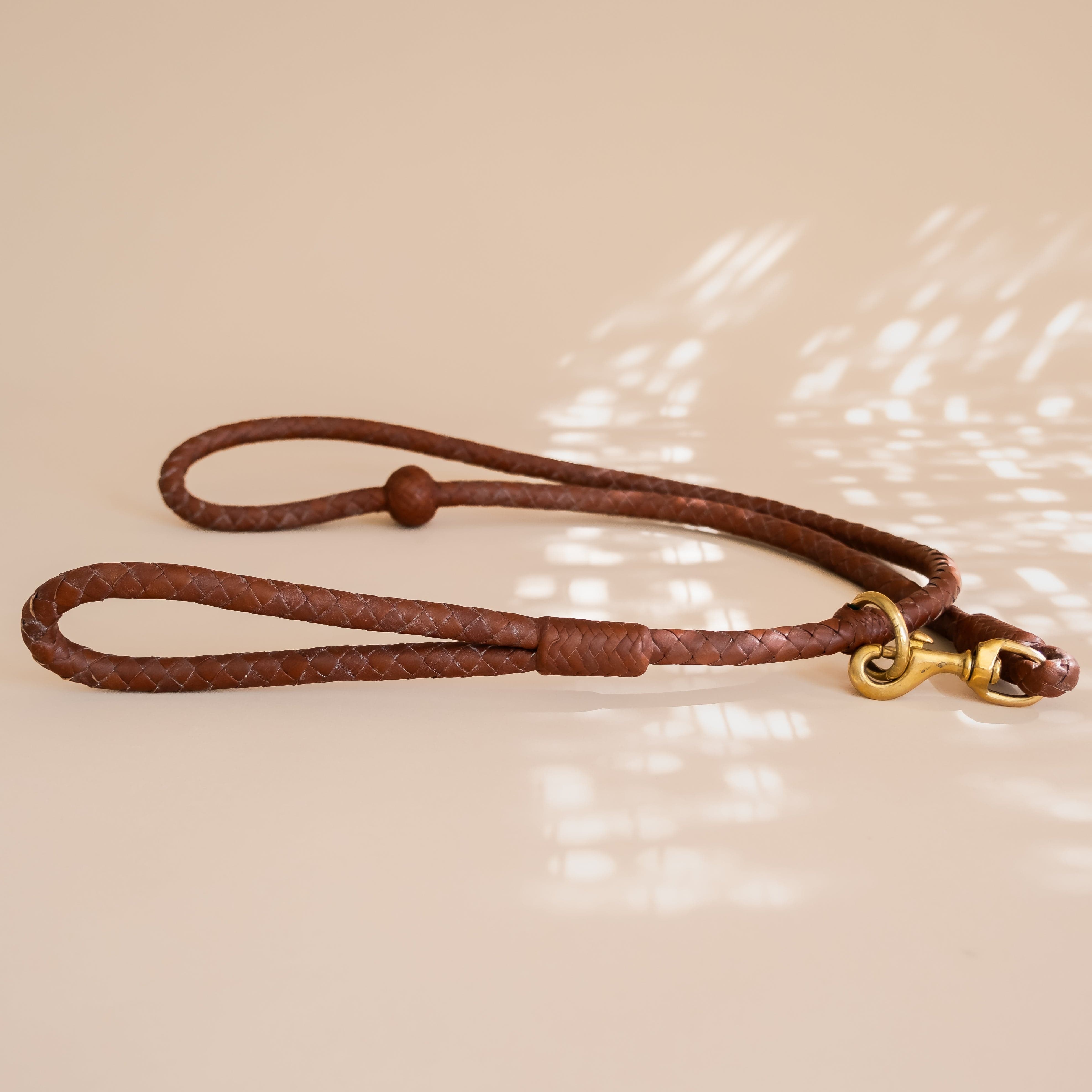 Matthew Ready pet accessories Large Dog / Brown Leather & Brass Dog Leash