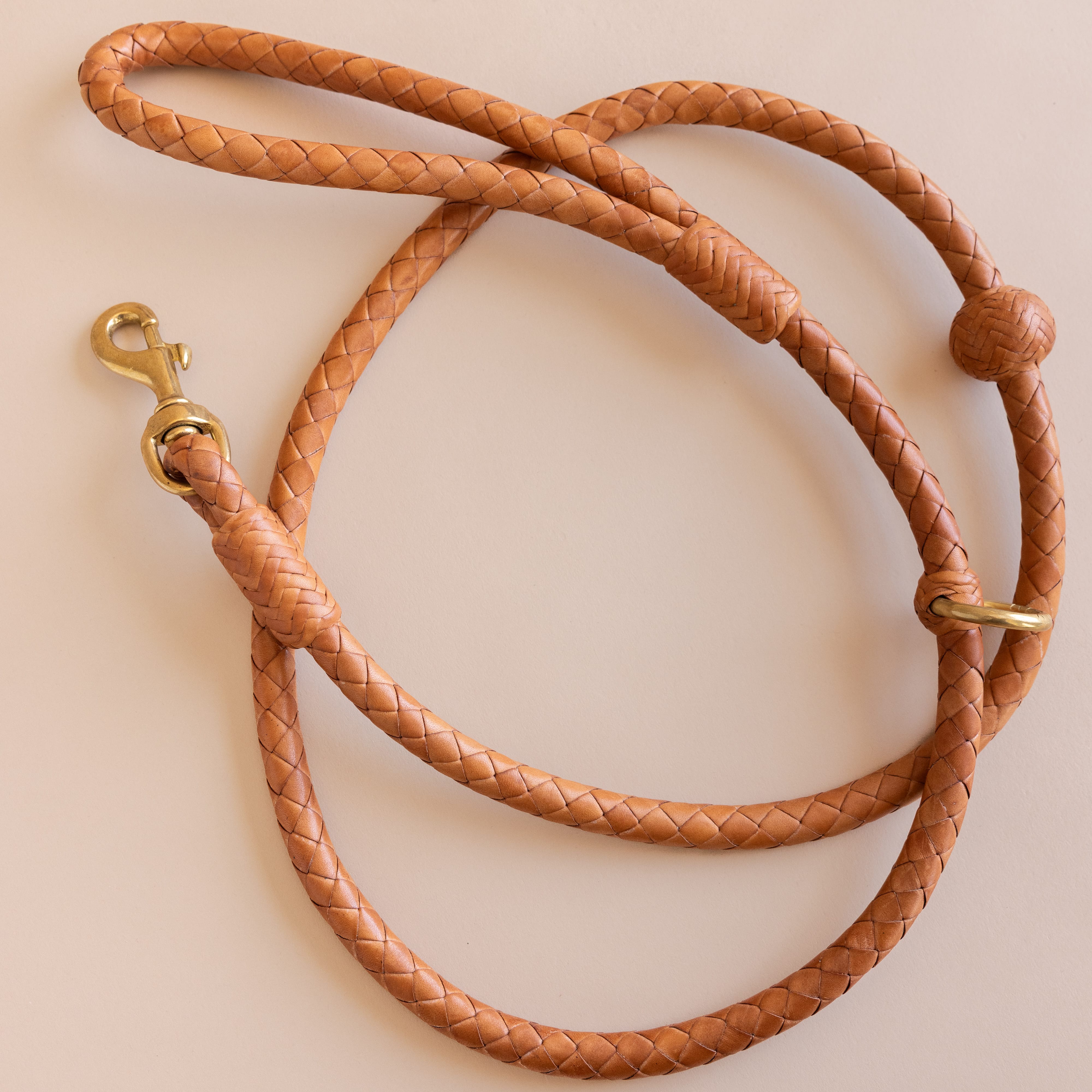 Matthew Ready pet accessories Large Dog / Tan Leather & Brass Dog Leash