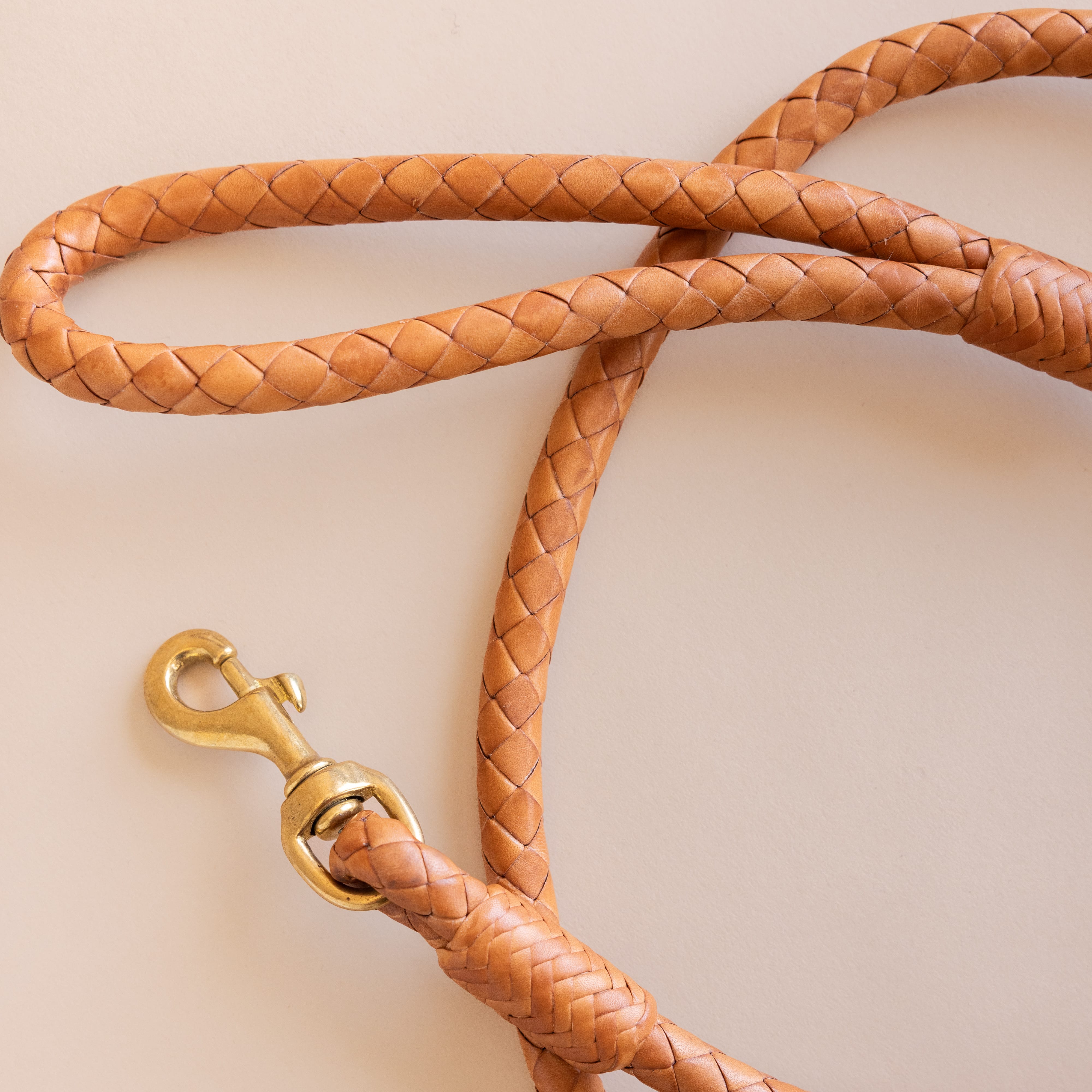 Matthew Ready pet accessories Leather & Brass Dog Leash