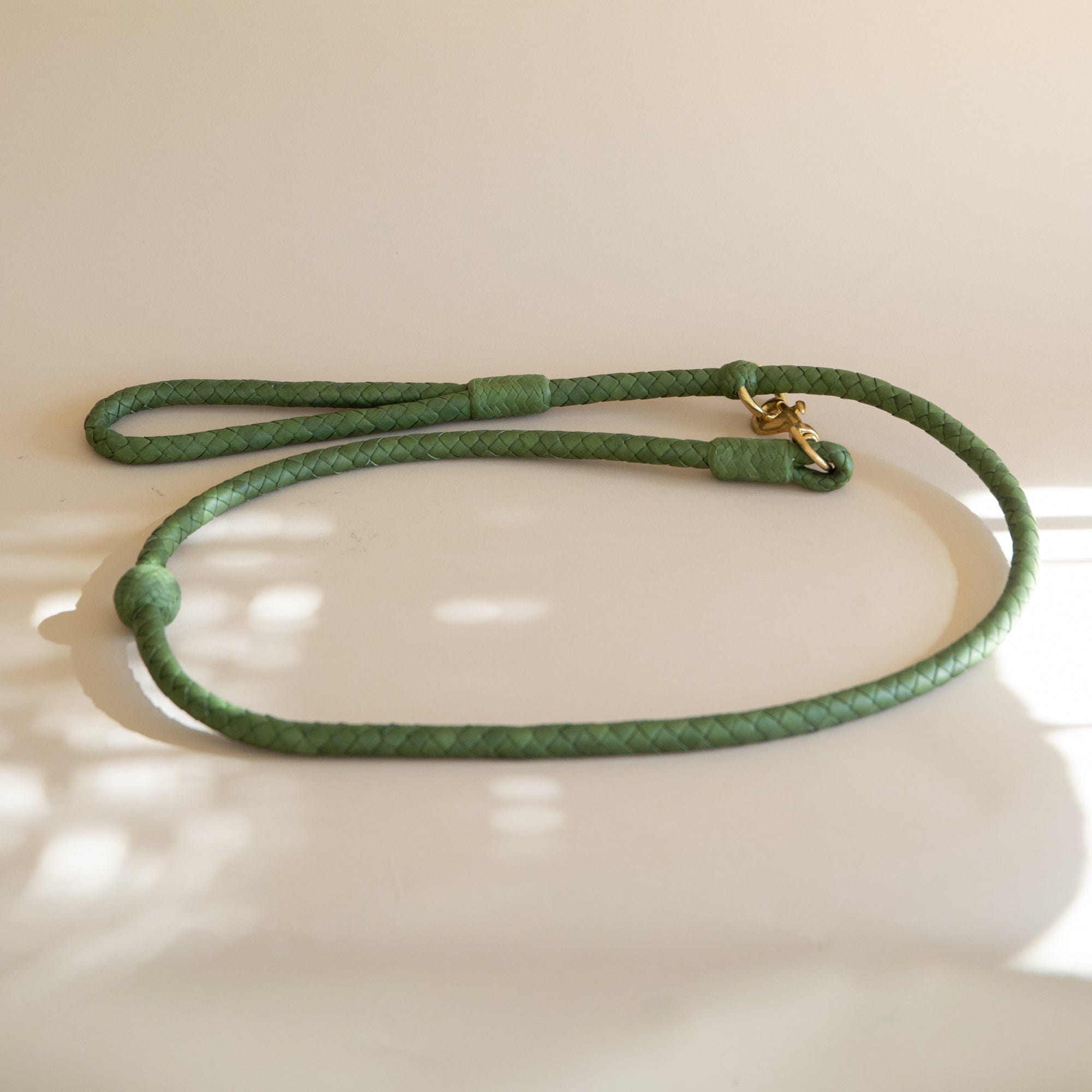 Matthew Ready pet accessories Olive Green Large Leather & Brass Dog Leash