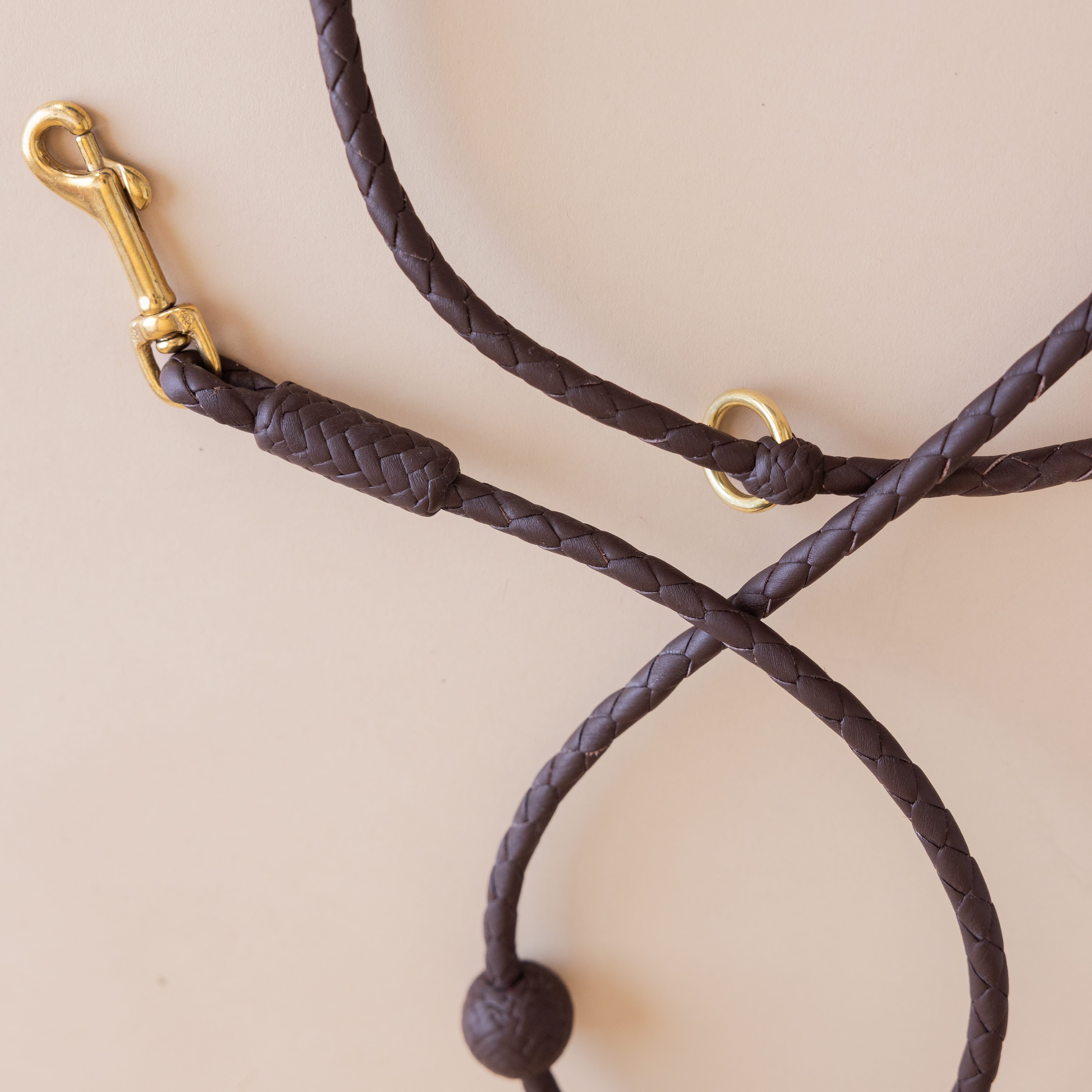 Matthew Ready pet accessories Small Dog / Dark Brown Leather & Brass Dog Leash