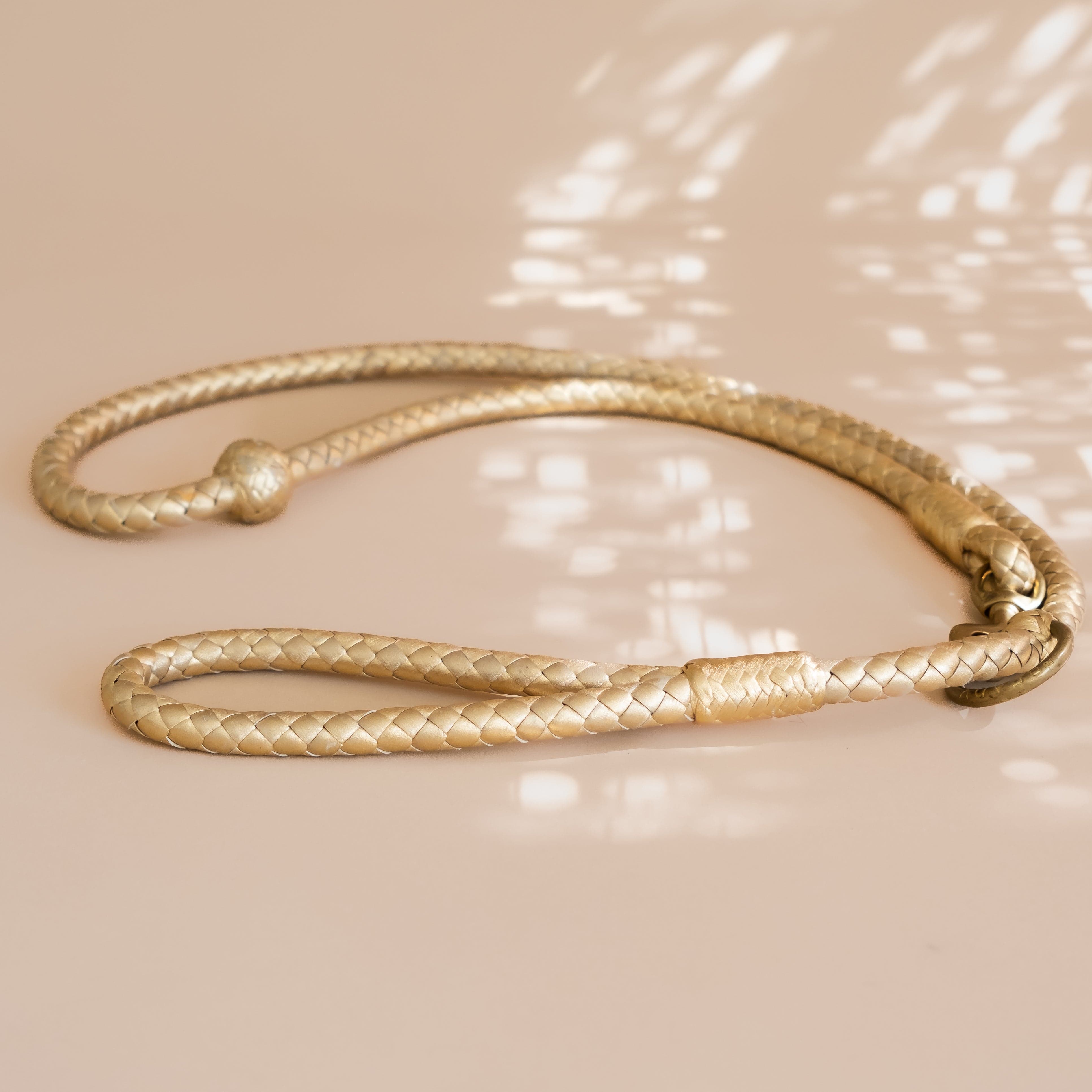 Matthew Ready pet accessories Small Dog / Gold Leather & Brass Dog Leash