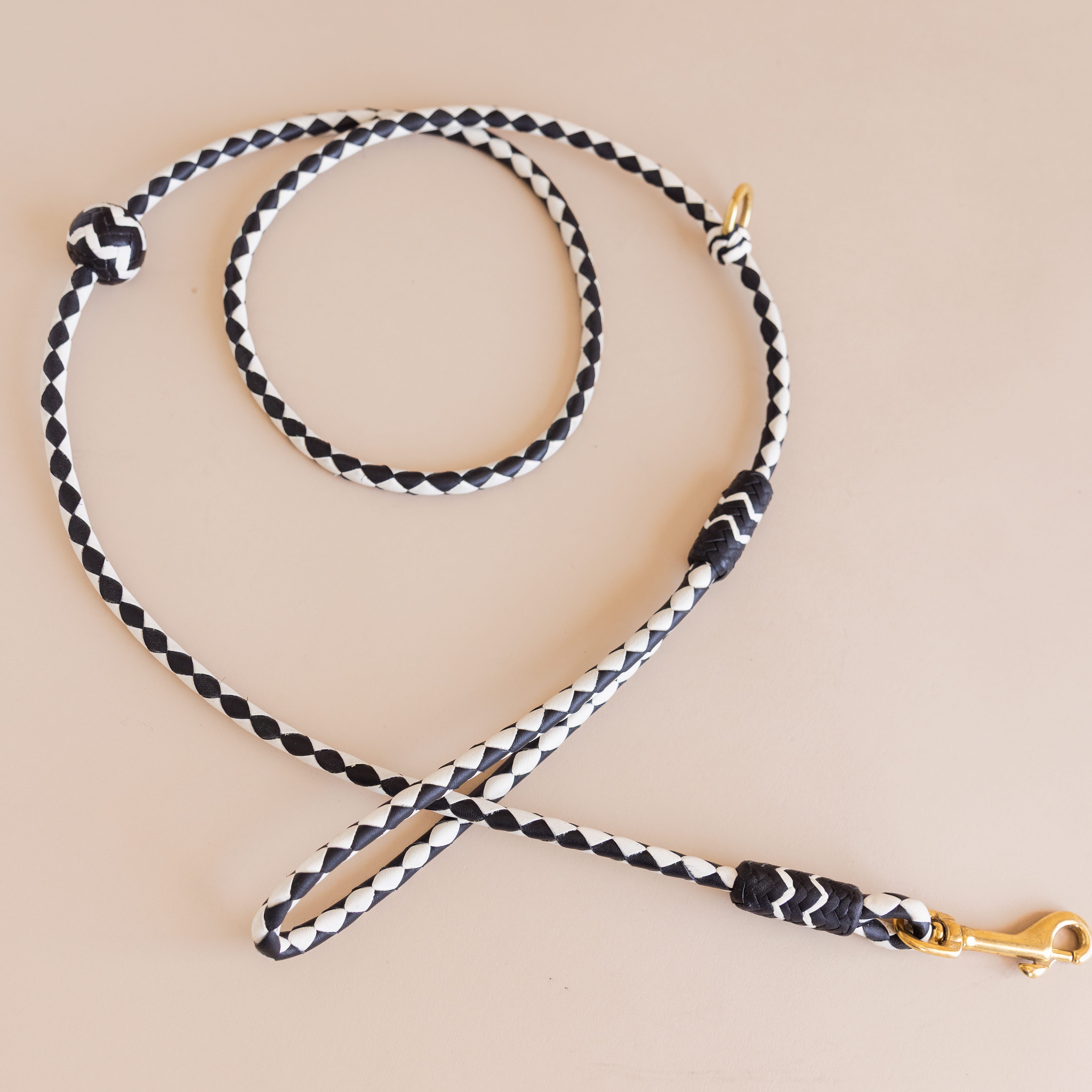 Matthew Ready pet accessories Small Dog / White/Black Leather & Brass Dog Leash