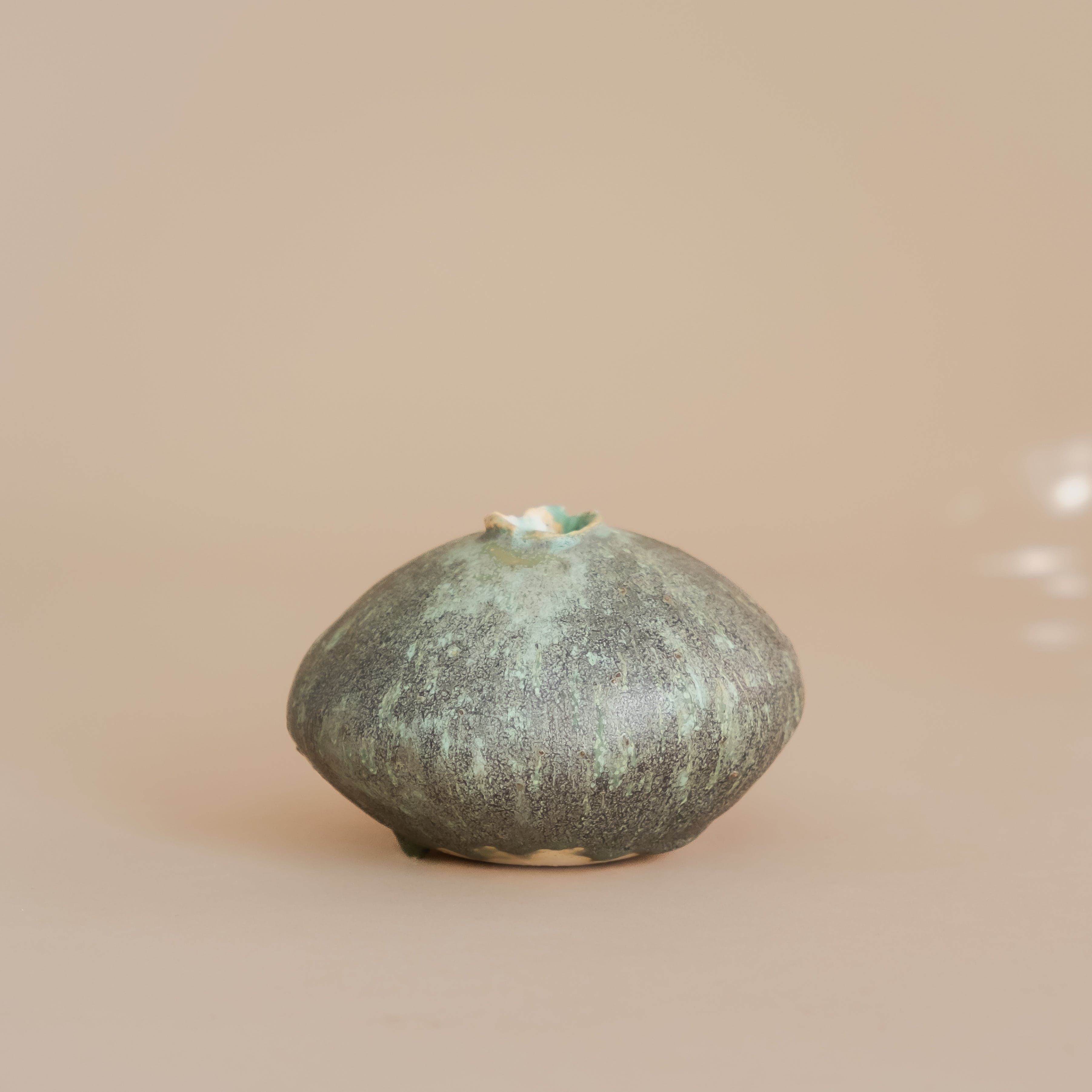 Mondays Bud Vase Lichen Moon Bud Vase