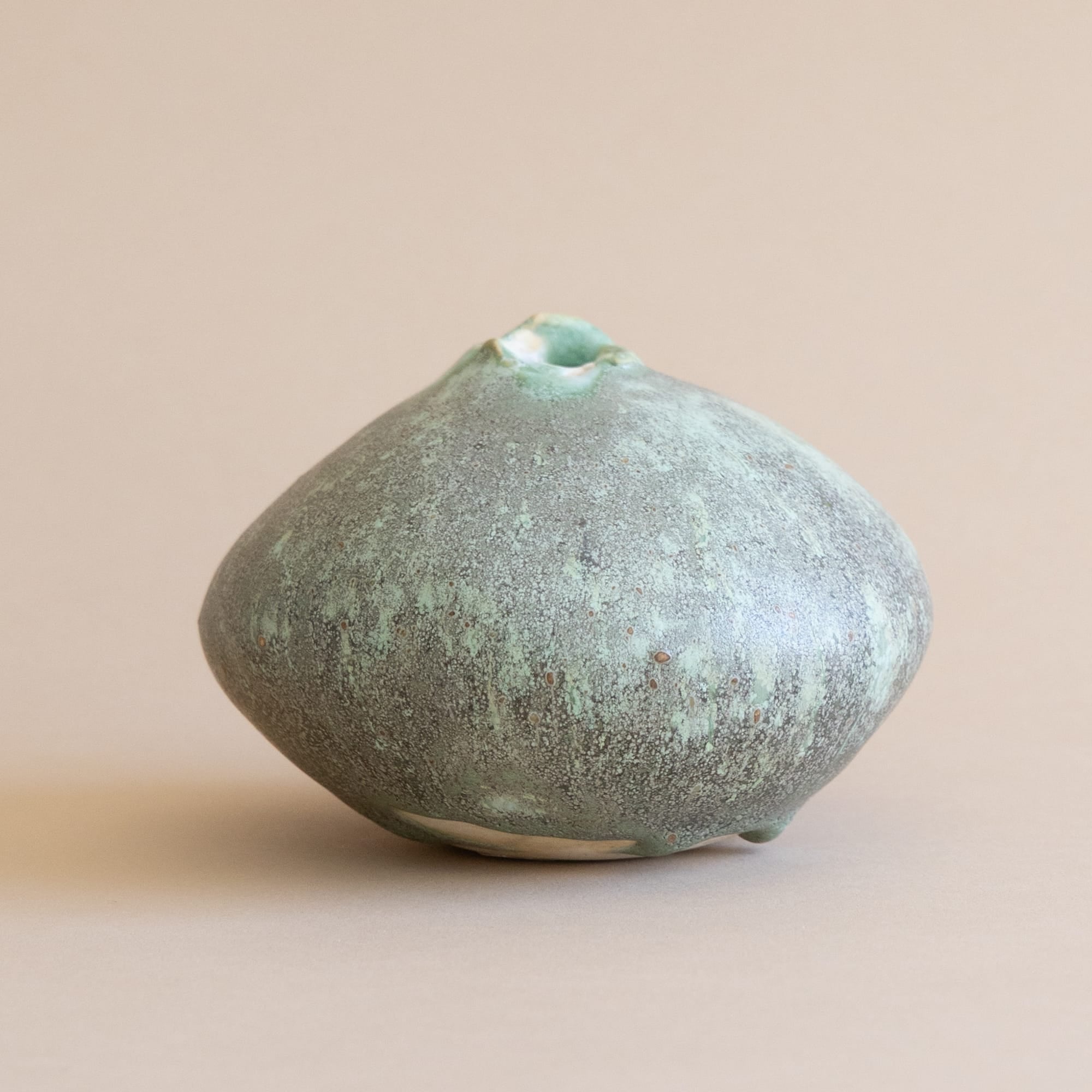 Mondays Bud Vase Lichen Moon Bud Vase