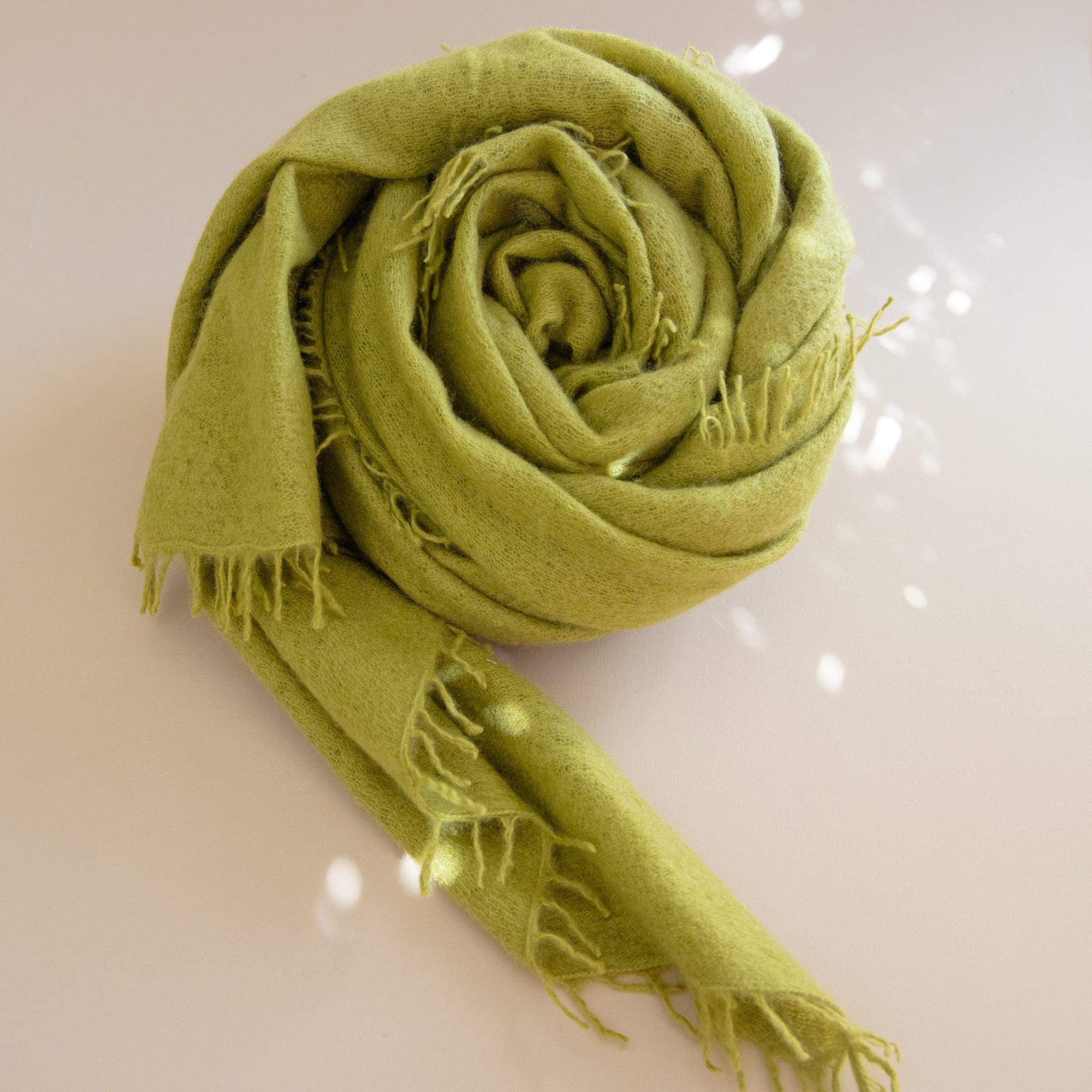 Organic John Patrick Scarves Lentil Sprout Cashmere Felted Scarf by Organic by John Patrick