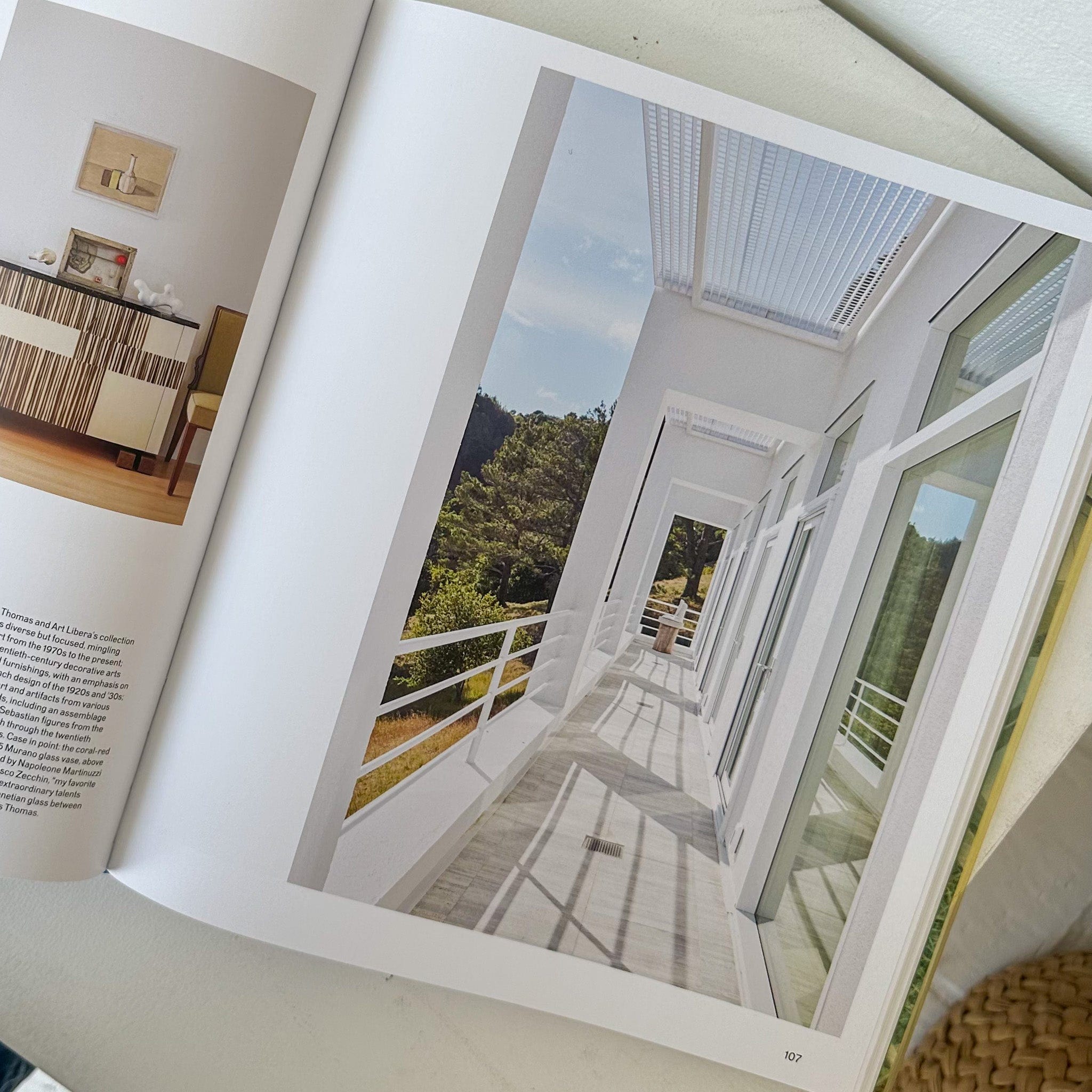 phaidon Design Beyond the Canyon: Inside Epic California Homes by Roger Davies