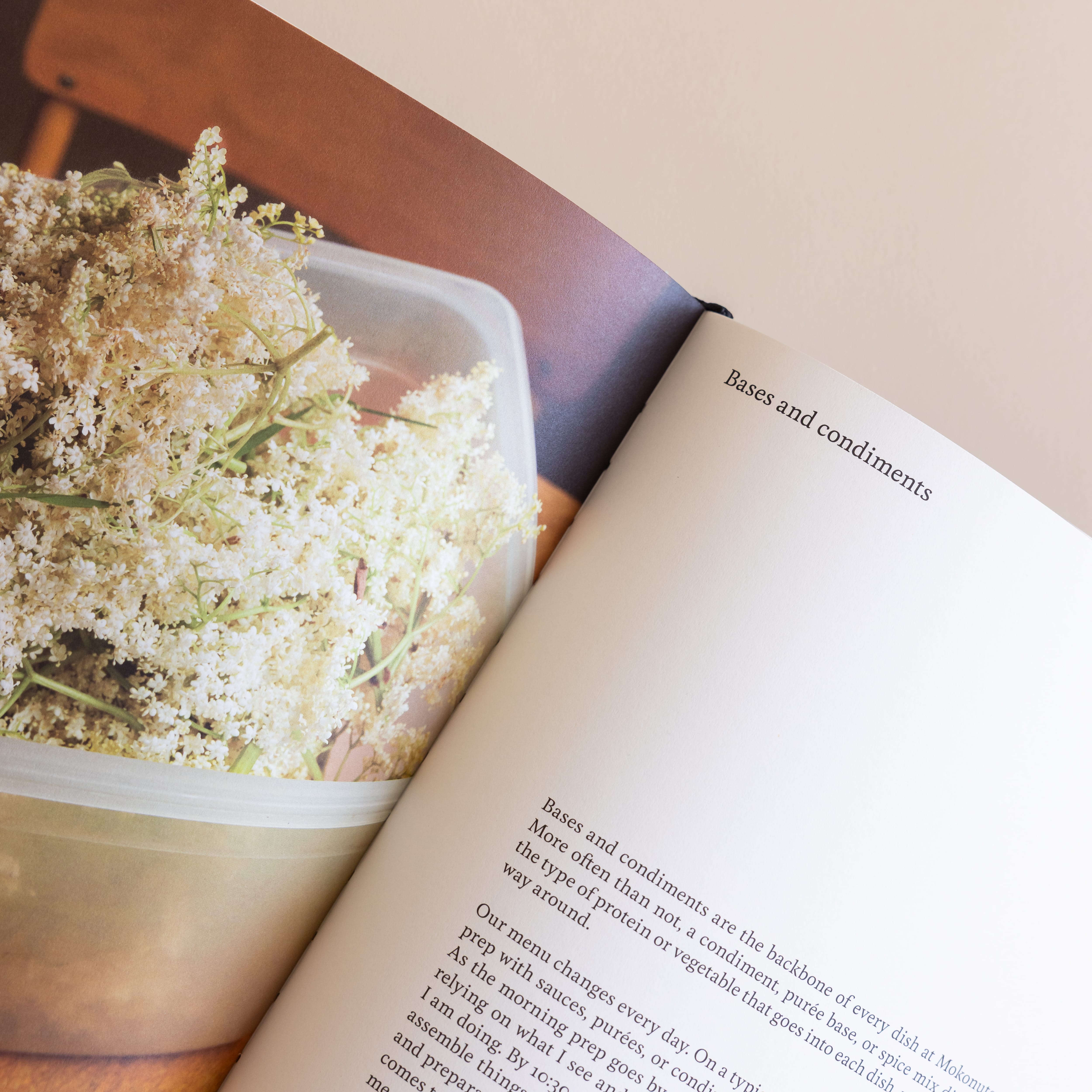 phaidon Food Mokonuts: The Cookbook