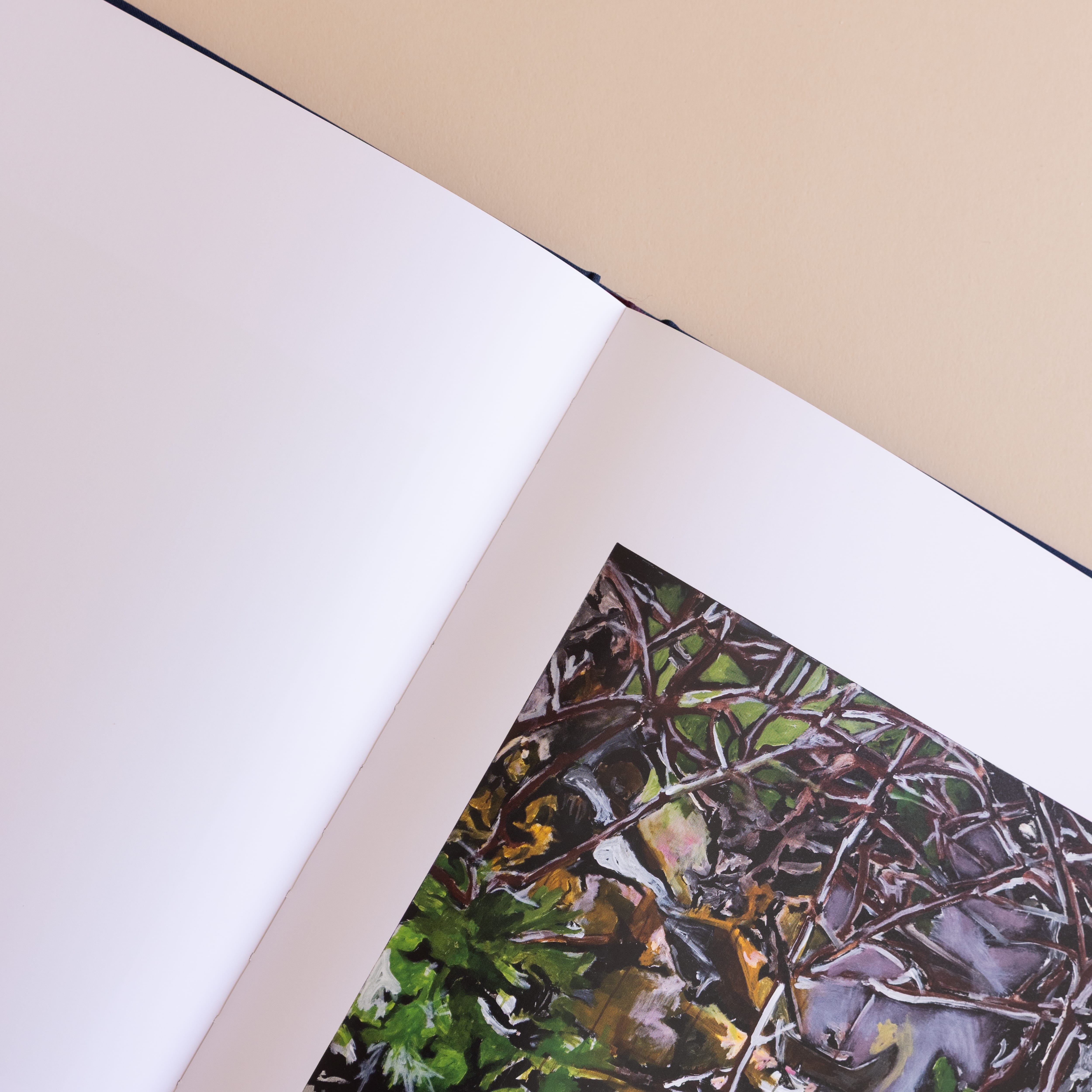 Simon & Schuster Art Noah Davis: In Detail
