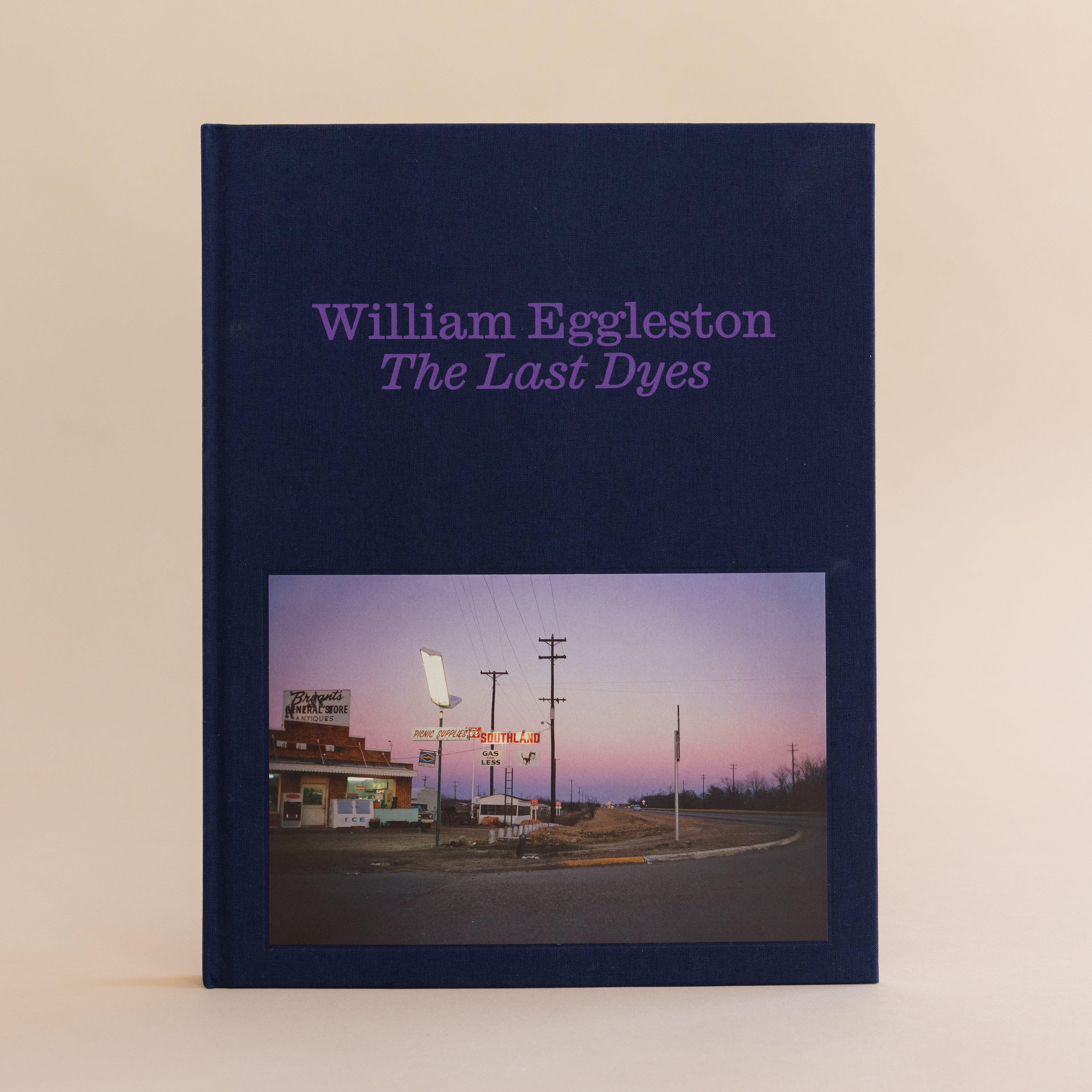 William Eggleston: The Last Dyes
