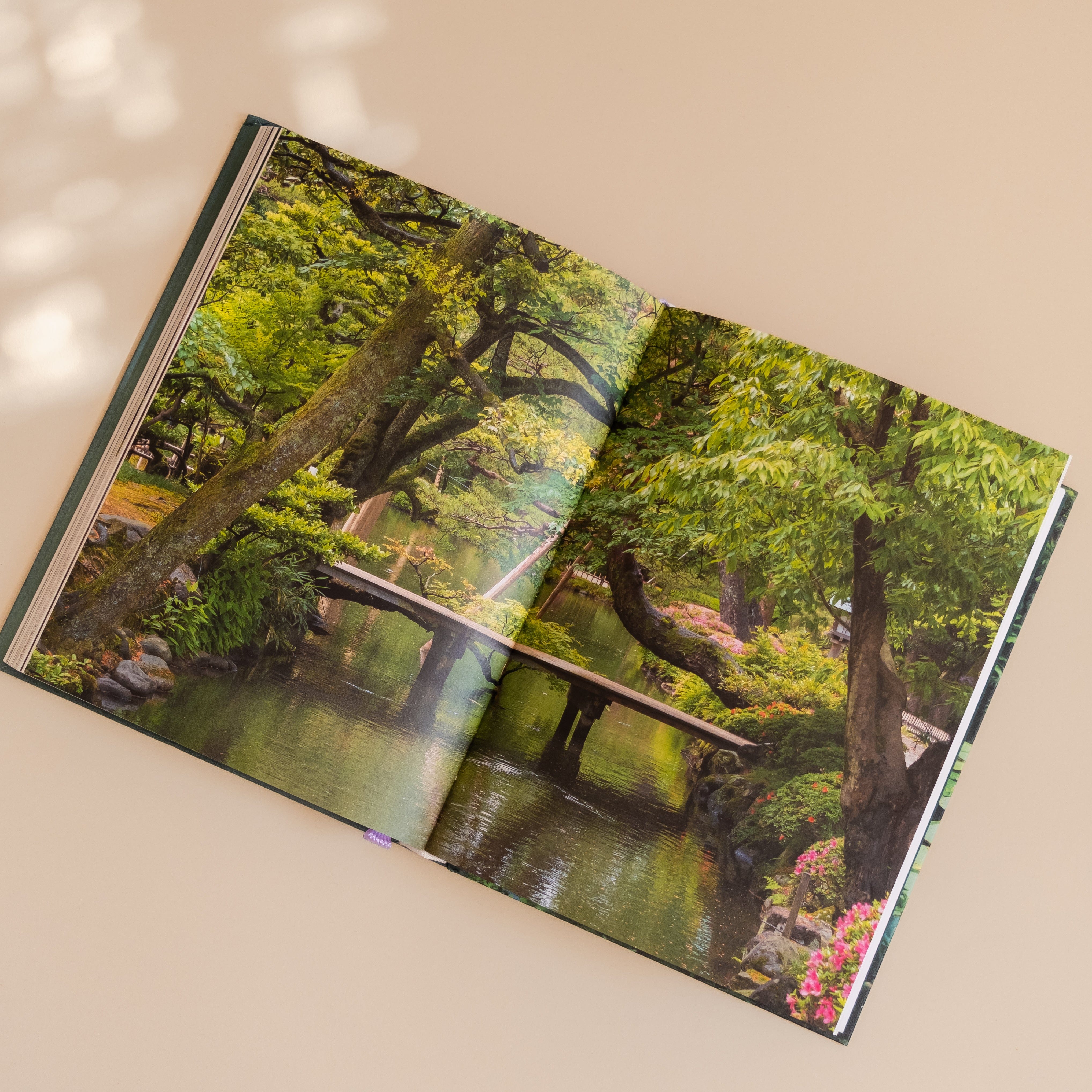 Simon & Schuster Gardening 150 Gardens To Visit