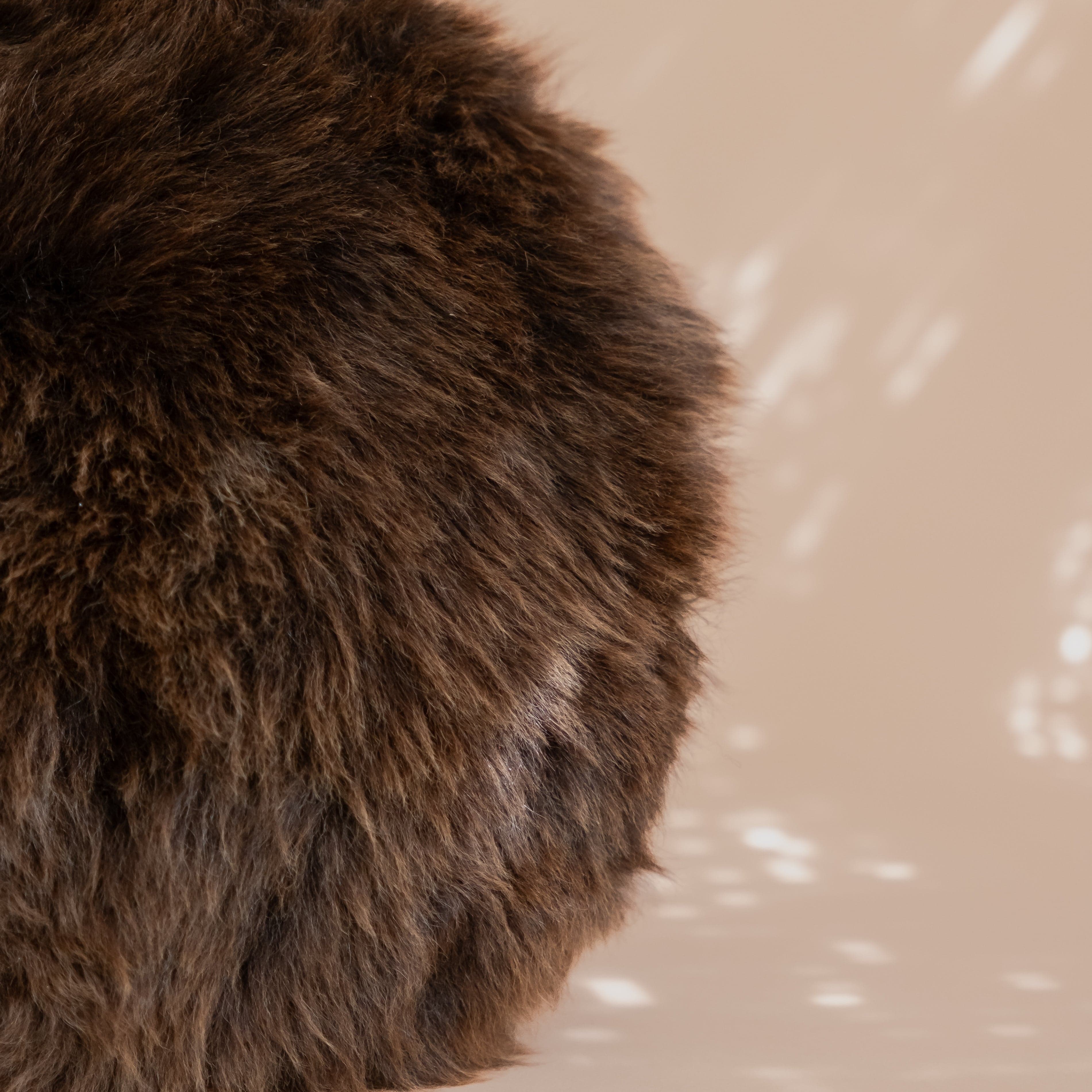 Skye Skyns Pillows Brown Round Sheepskin Pillow