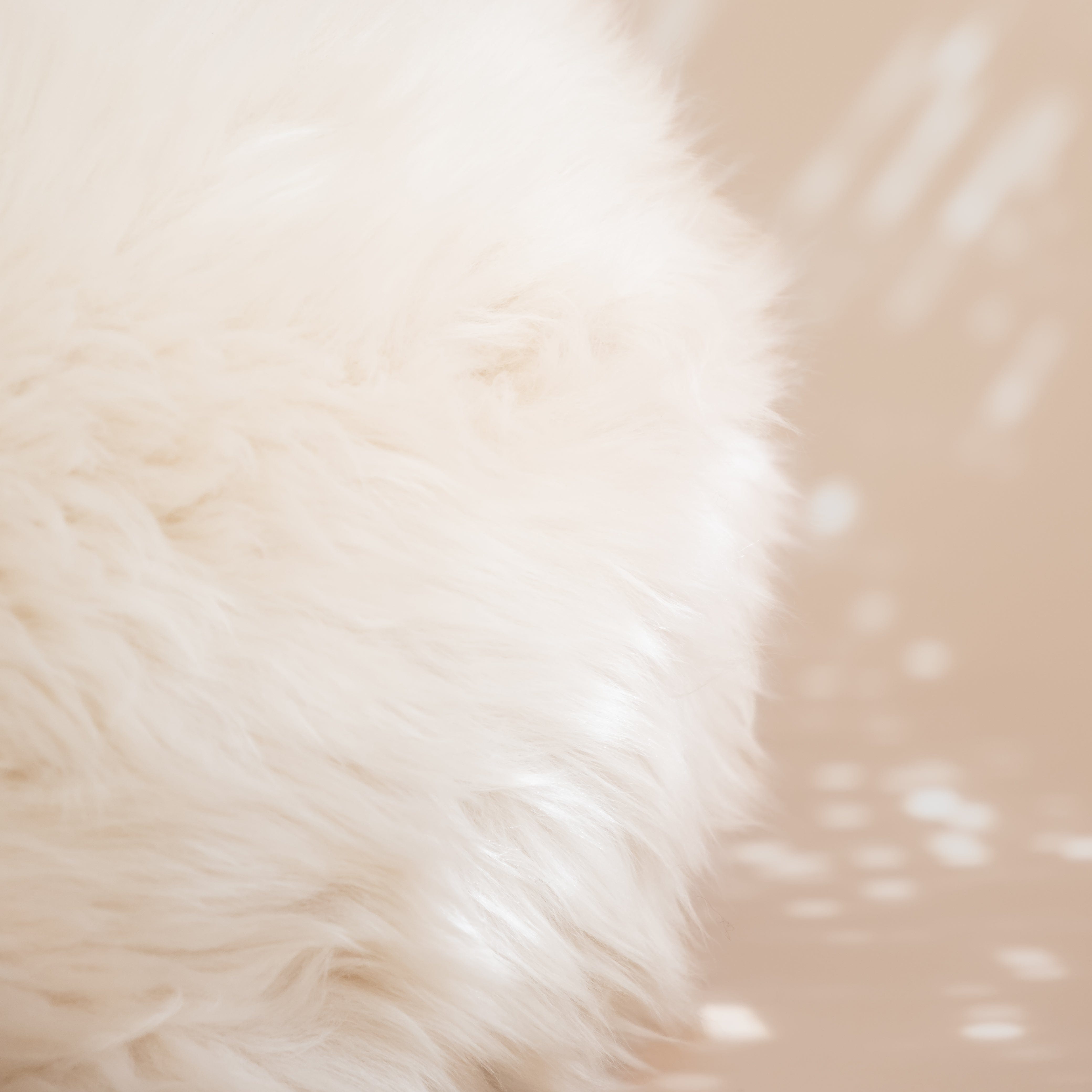 Skye Skyns Pillows Champagne Round Sheepskin Pillow